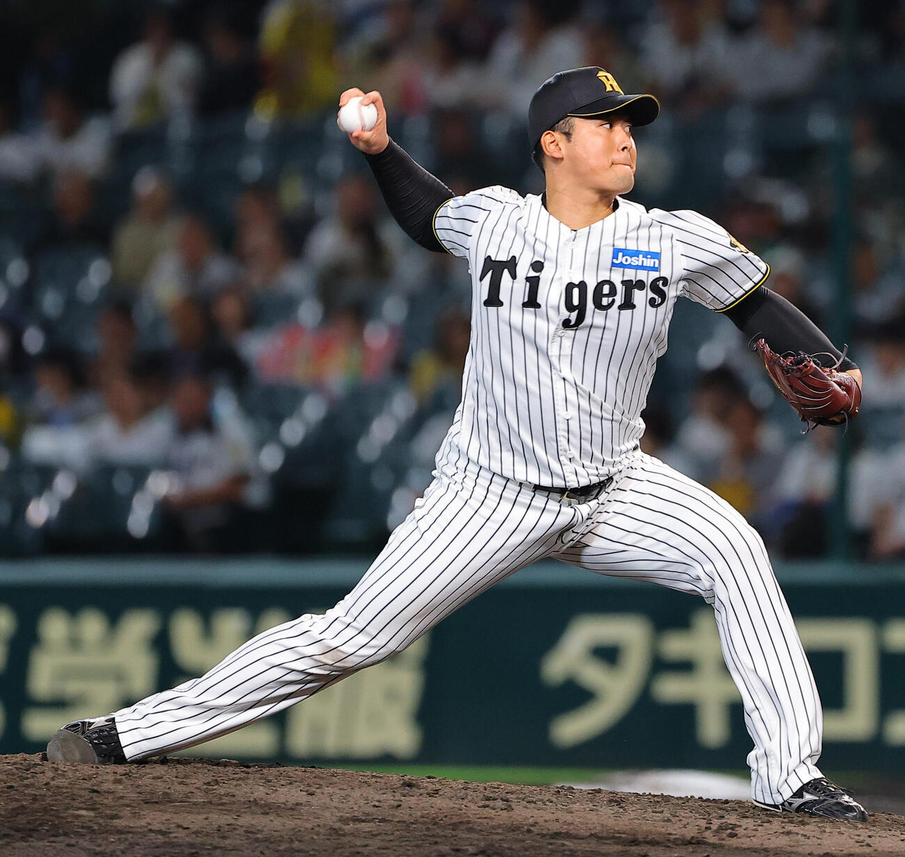 阪神対広島　阪神8番手の岡留英貴（撮影・上田博志）