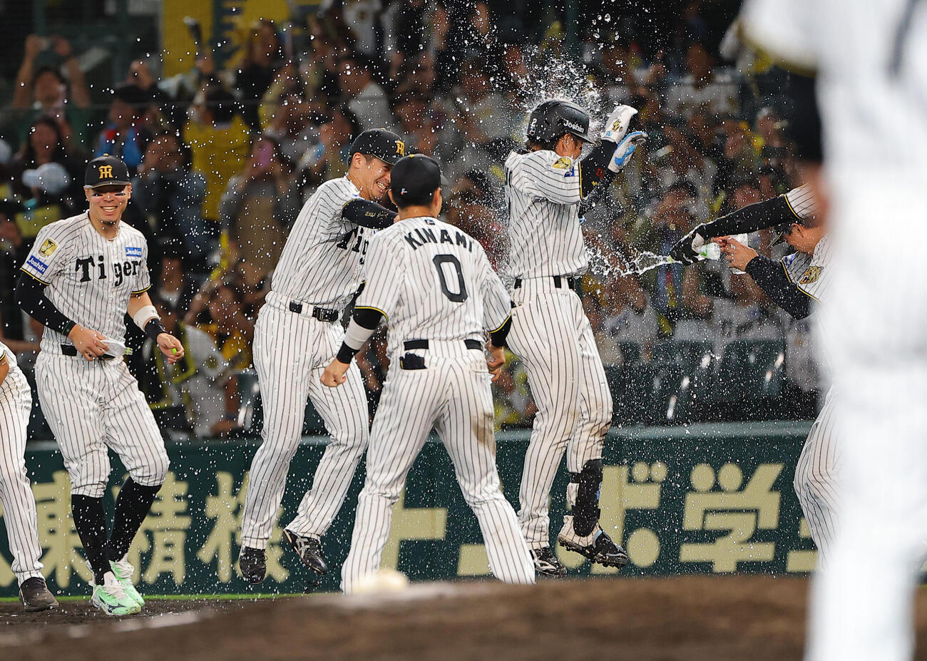 阪神対広島　11回裏阪神1死二、三塁、サヨナラ安打を放った梅野隆太郎（右）はウォーターシャワーを浴びる（撮影・上田博志）
