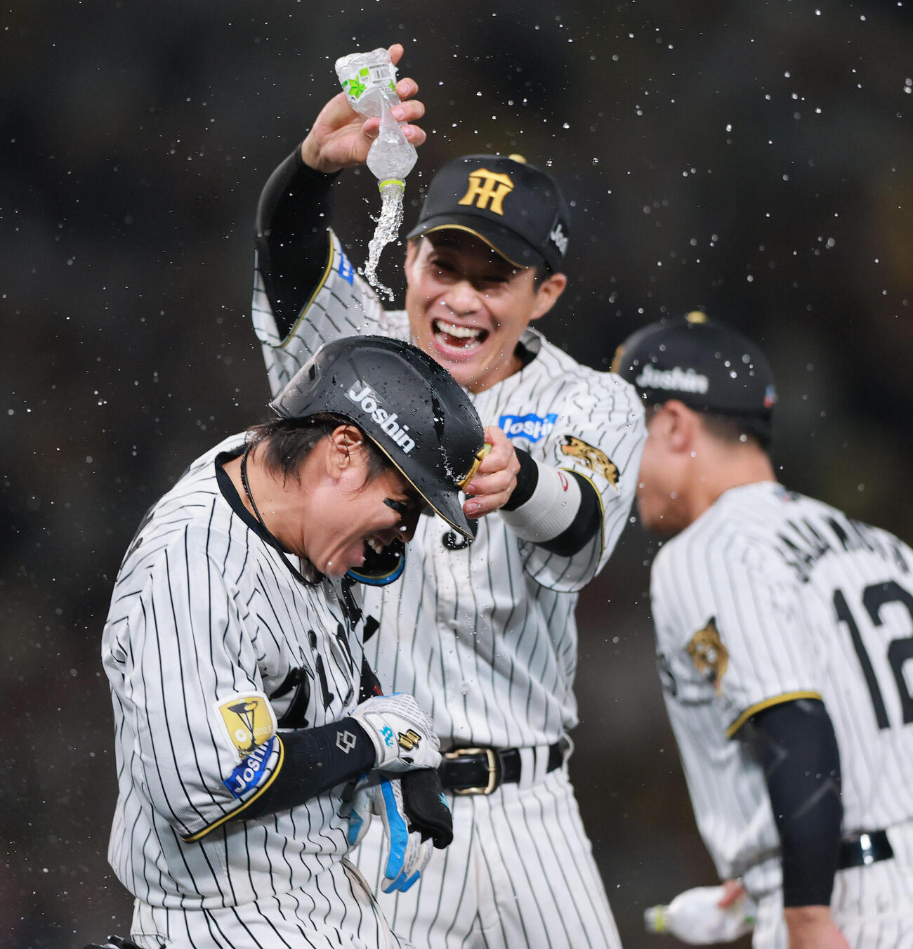 阪神対広島　11回裏阪神1死二、三塁、サヨナラ適時打を放った梅野隆太郎（手前）は木浪聖也からウオーターシャワーの祝福を受ける（撮影・上山淳一）