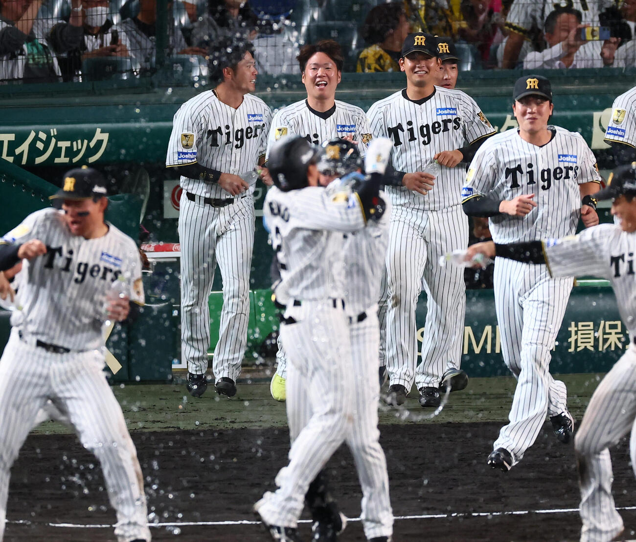 阪神対広島　11回裏阪神1死二、三塁、西勇輝は梅野隆太郎のサヨナラ適時内野安打でベンチからグラウンドへ飛び出した（撮影・加藤哉）