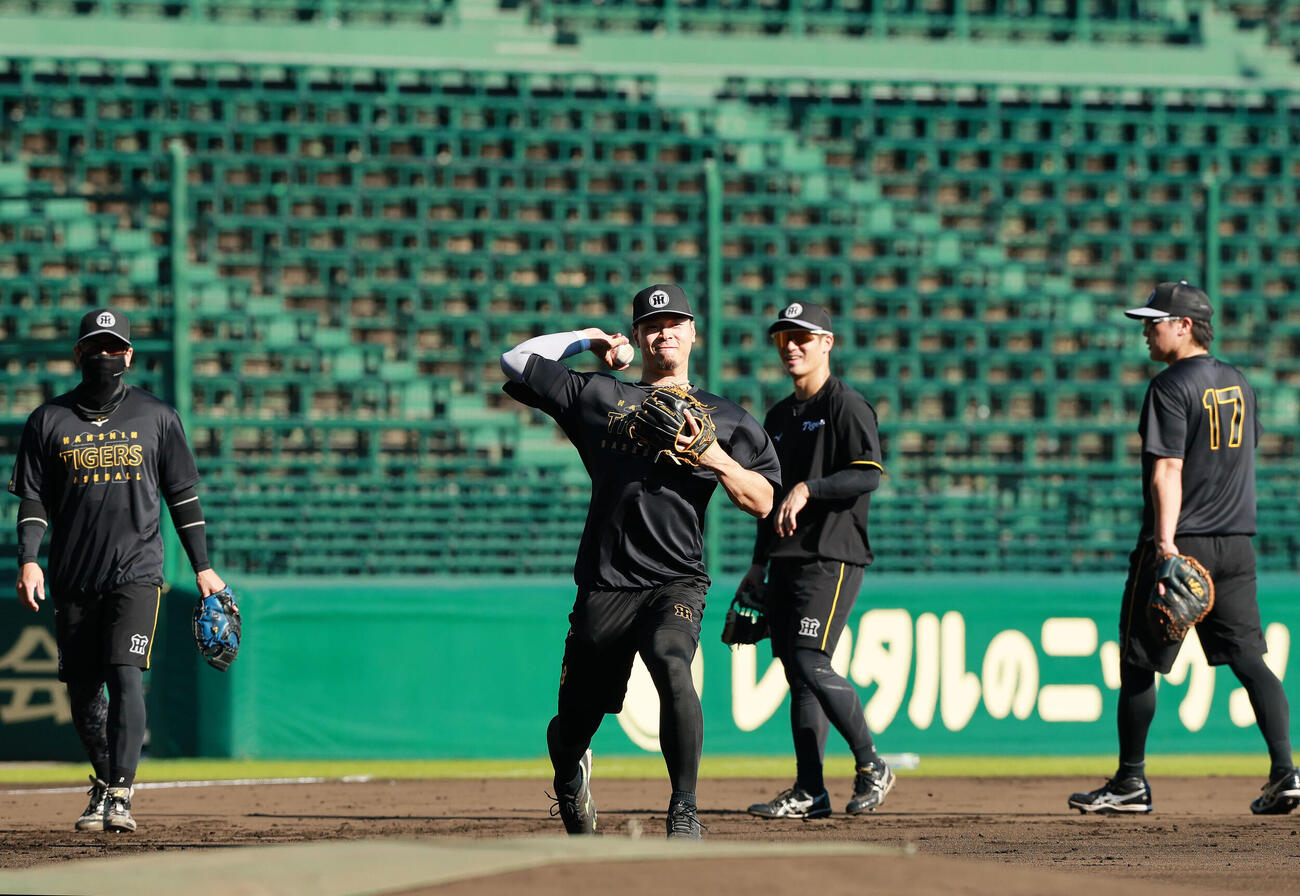 阪神対ヤクルト　試合前の練習でノックを受ける阪神佐藤輝明（左から2人目）（撮影・上山淳一）