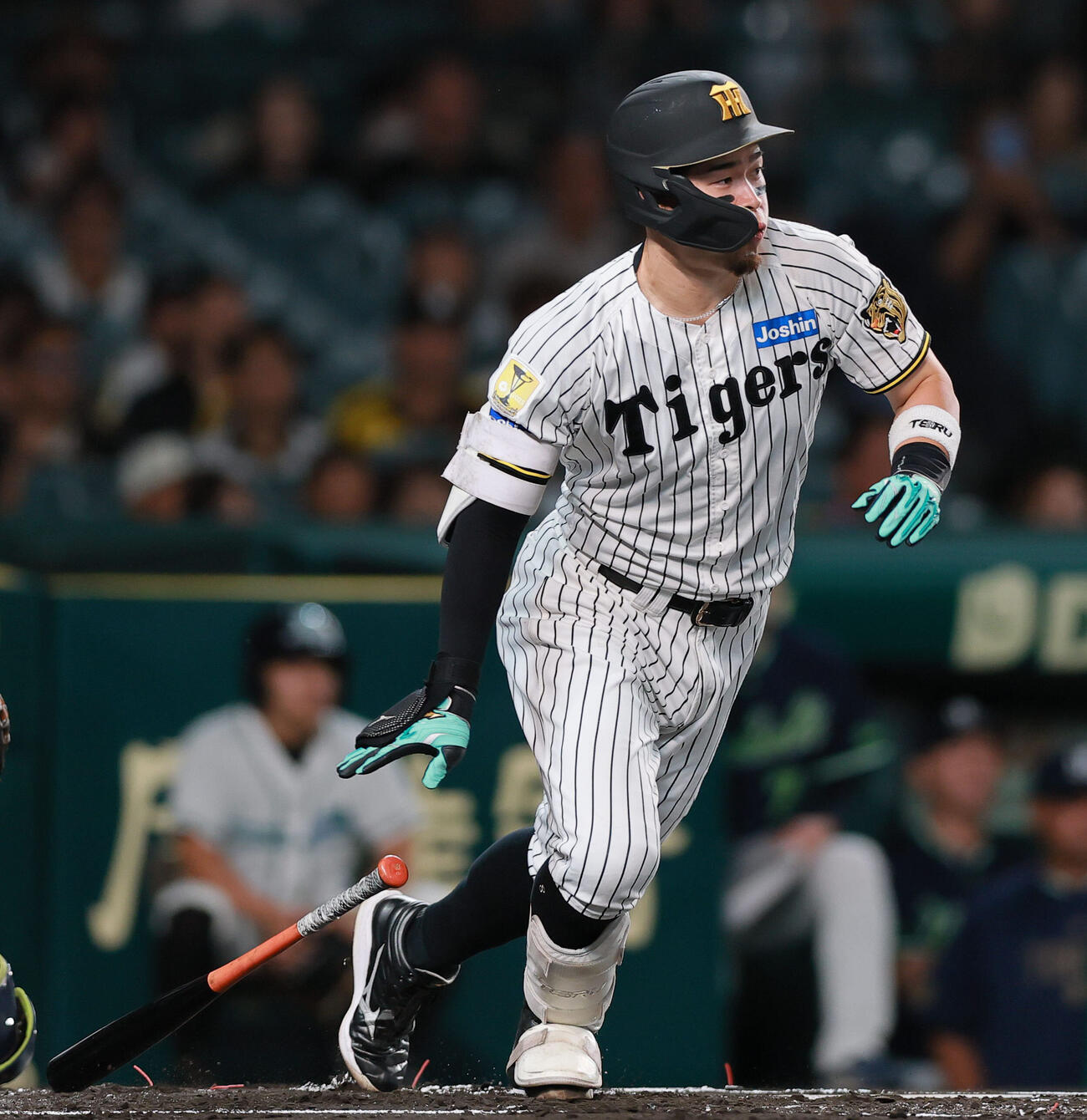 阪神対ヤクルト　1回裏阪神1死、佐藤輝明は投ゴロに倒れる（撮影・上山淳一）