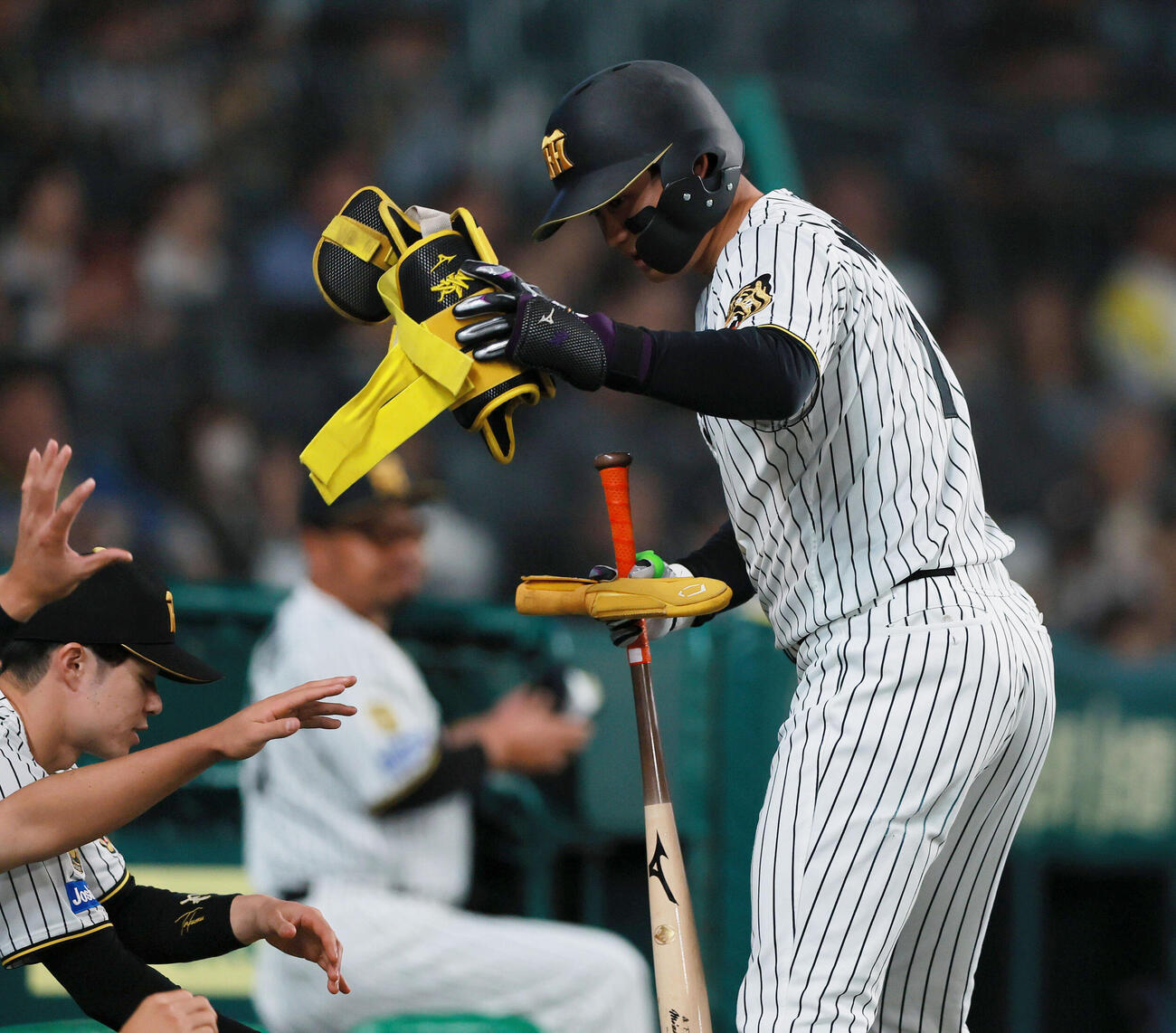 阪神対ヤクルト　4回裏阪神1死、森下翔太は四球を選び交代となりベンチに引き揚げる（撮影・上山淳一）