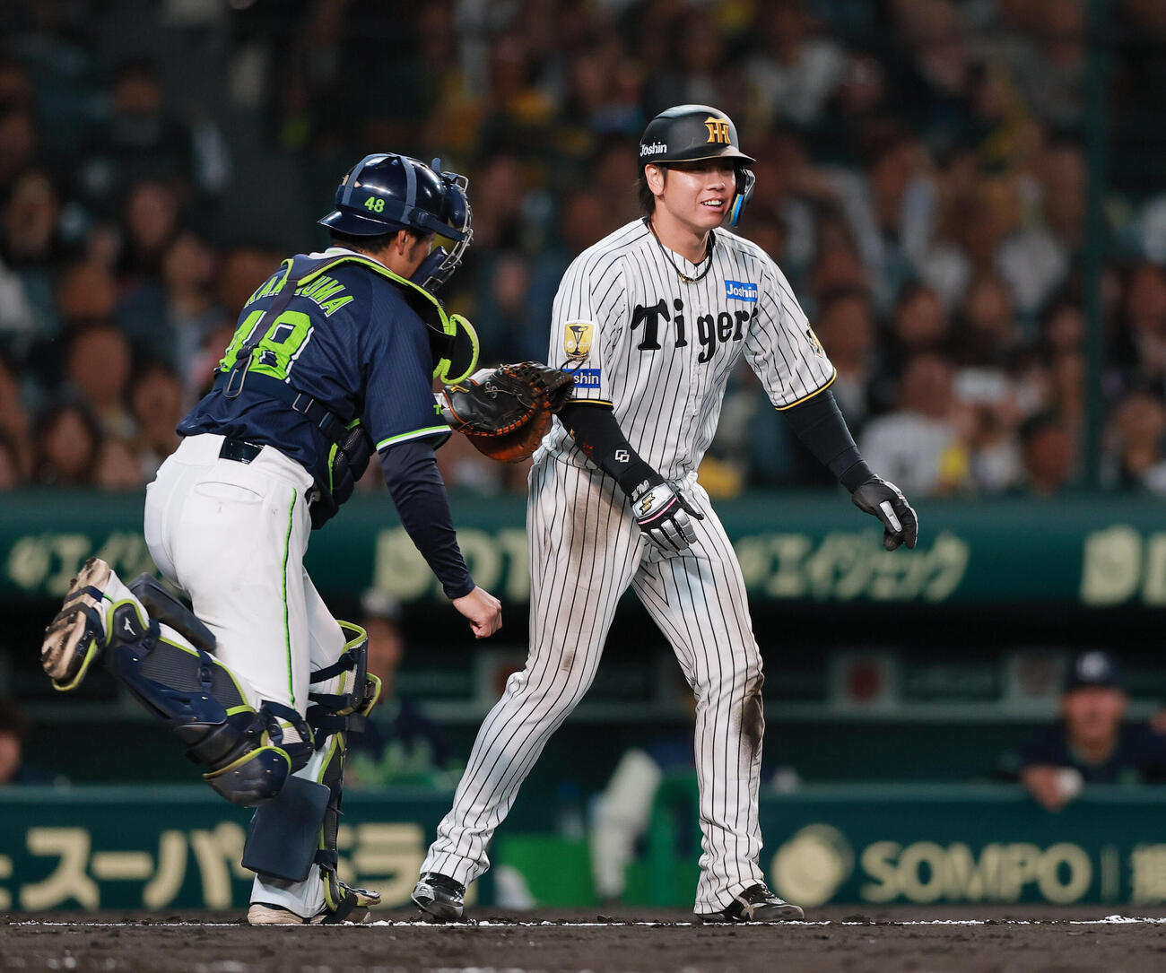 阪神対ヤクルト　5回裏阪神2死二塁、二走梅野隆太郎（右）は近本光司の左前打で本塁突入もアウト。捕手柿沼友哉（撮影・上山淳一）