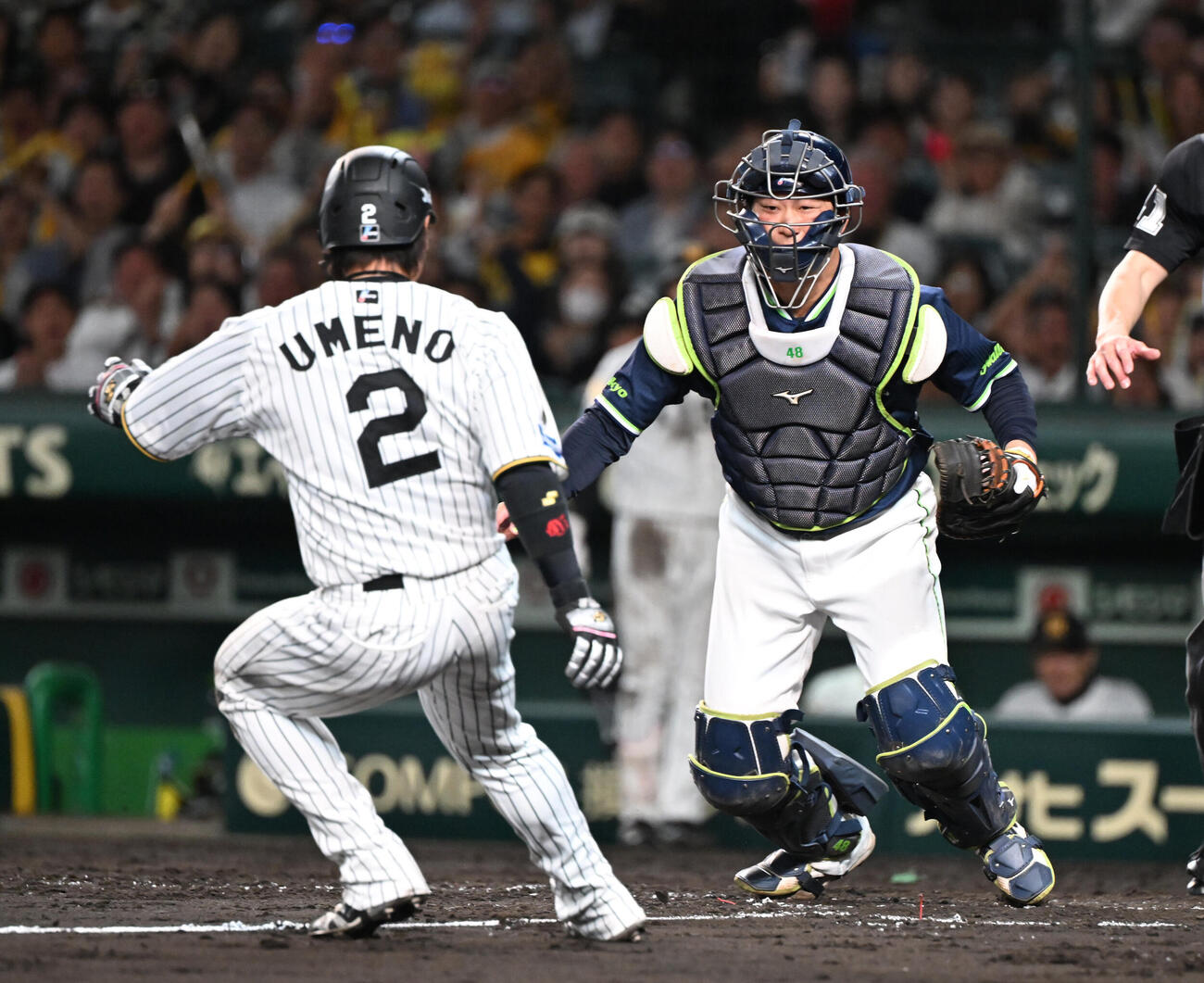 阪神対ヤクルト　5回裏阪神2死二塁、近本の右安打で三塁をまわった梅野隆太郎だがタッチアウト（撮影・和賀正仁）