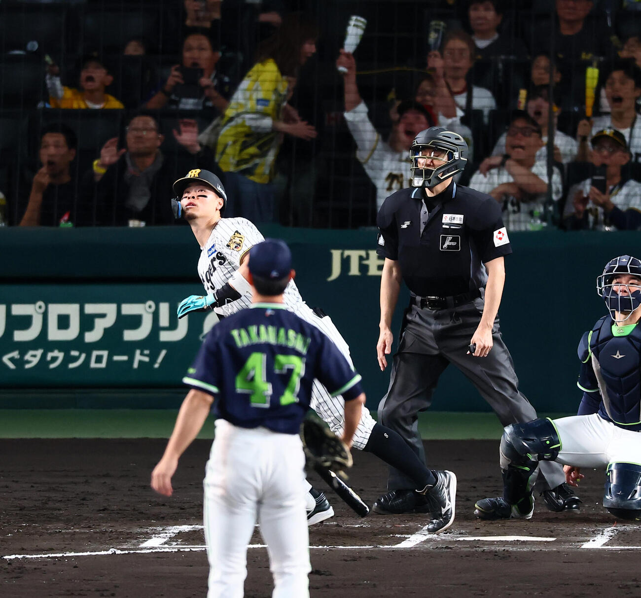 阪神対ヤクルト　6回裏阪神無死、佐藤輝明は右飛を打ち上げる。投手高橋奎二（撮影・加藤哉）