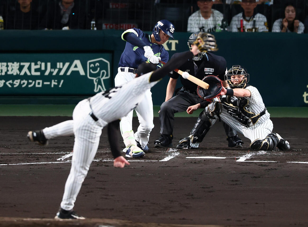 阪神対ヤクルト　2回表ヤクルト無死満塁、田中陽翔は右前適時打を放つ。投手イーストン・ルーカス（撮影・加藤哉）