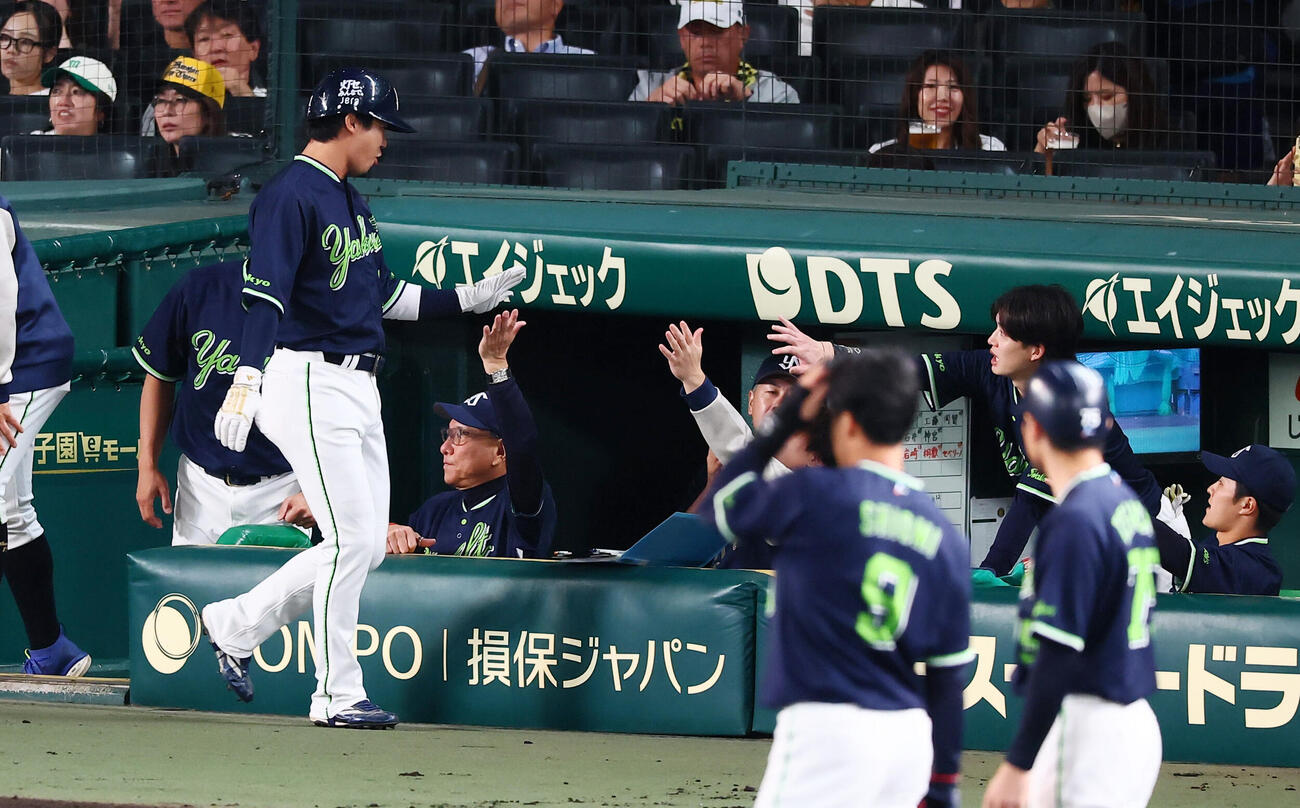 阪神対ヤクルト　2回表ヤクルト無死満塁、三走山田哲人は田中陽翔の右前適時打で生還しベンチの池山隆寛監督（右）とタッチする（撮影・加藤哉）