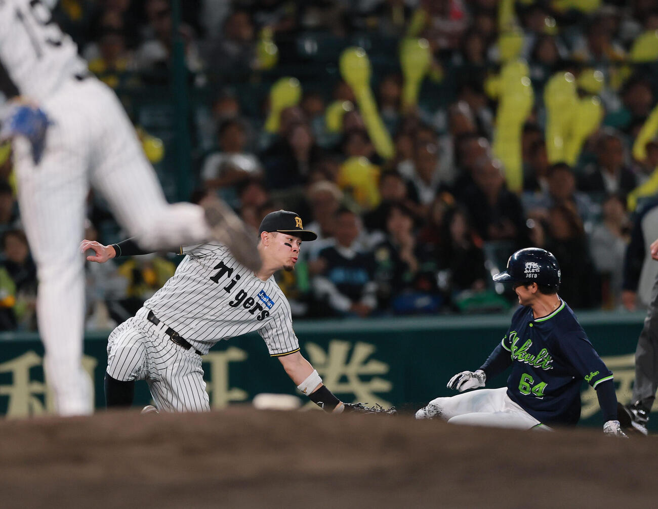 阪神対ヤクルト　7回表ヤクルト1死二塁、二走岩田幸宏（右）の三盗を阻止する下村海翔（手前）と三塁手佐藤輝明（撮影・上山淳一）