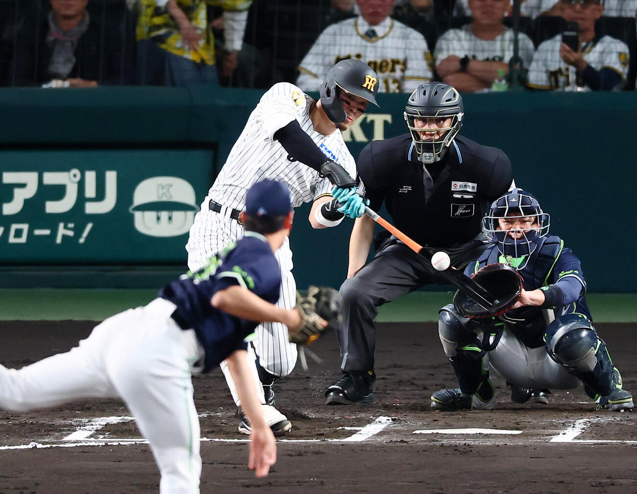 阪神対ヤクルト　6回裏阪神無死、佐藤輝明は右飛を打ち上げる。投手高橋奎二（撮影・加藤哉）