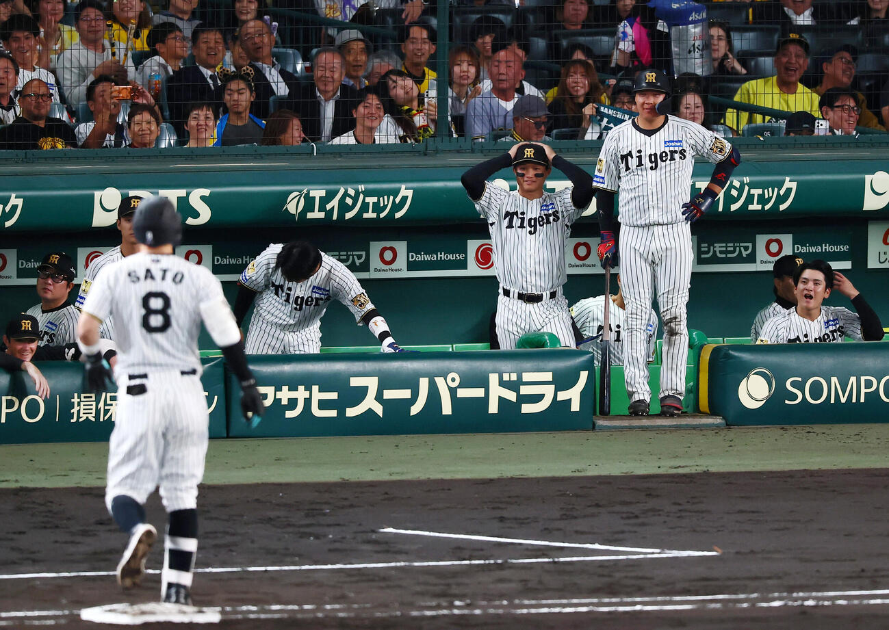 阪神対ヤクルト　6回裏阪神無死、佐藤輝明の打球は右飛となりベンチの森下翔太も頭に手を当てて動けず。右は大山悠輔（撮影・加藤哉）
