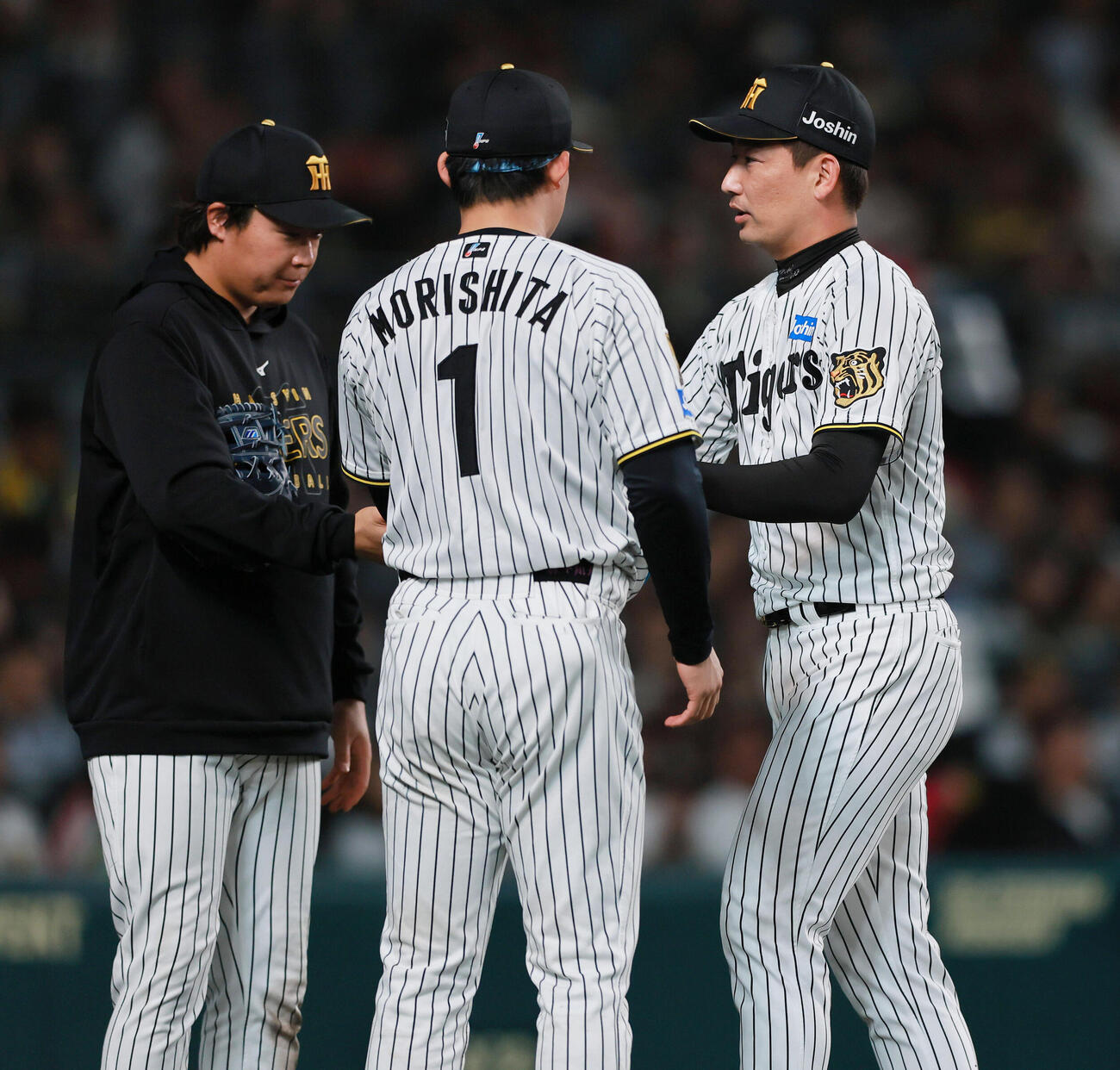 阪神対ヤクルト　8回表ヤクルト無死、岩崎優（右）は茂木栄五郎を左飛に仕留め交代となりベンチ前で迎えられる（撮影・上山淳一）
