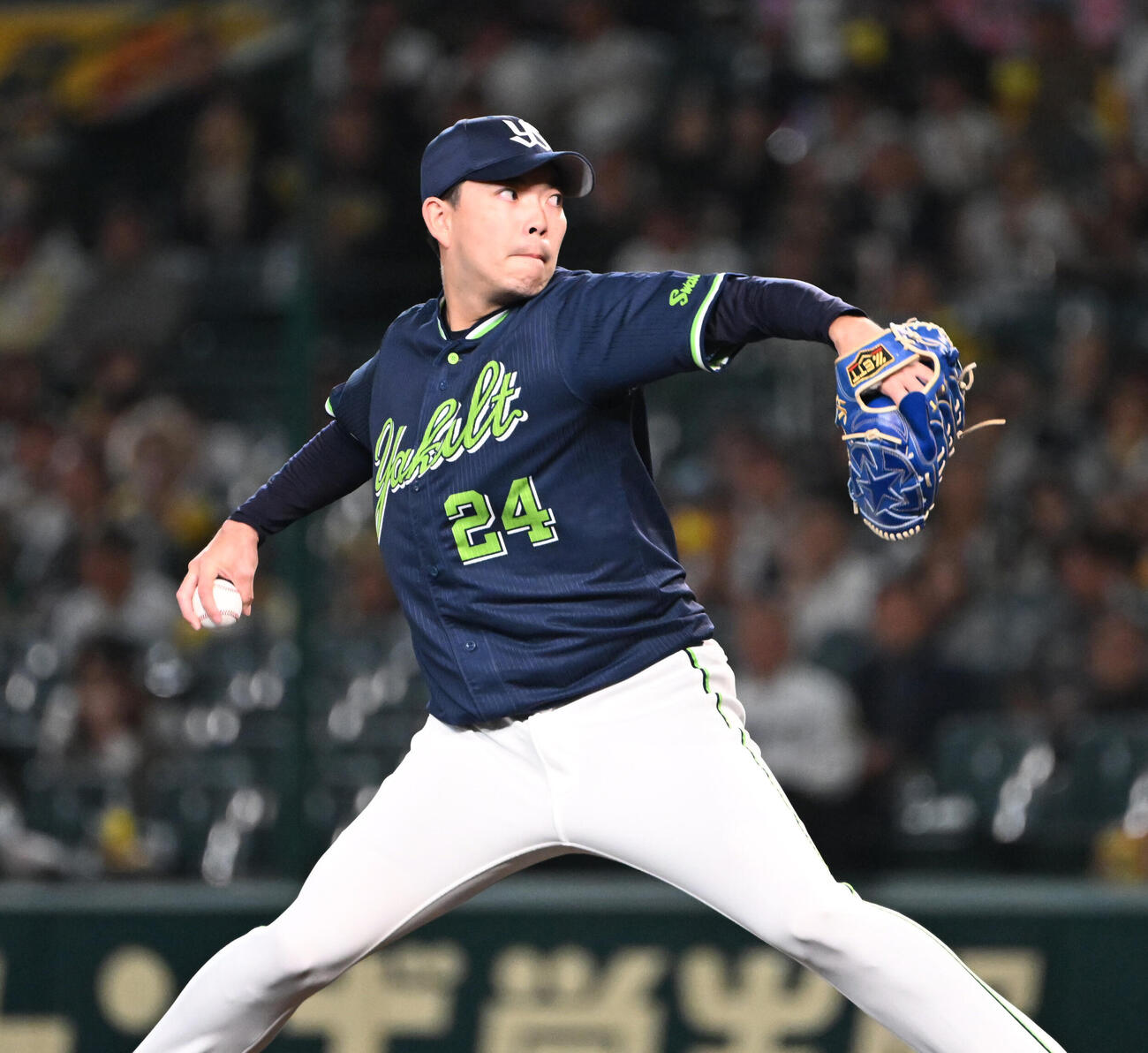 阪神対ヤクルト　8回に登板するヤクルト星知弥（撮影・和賀正仁）