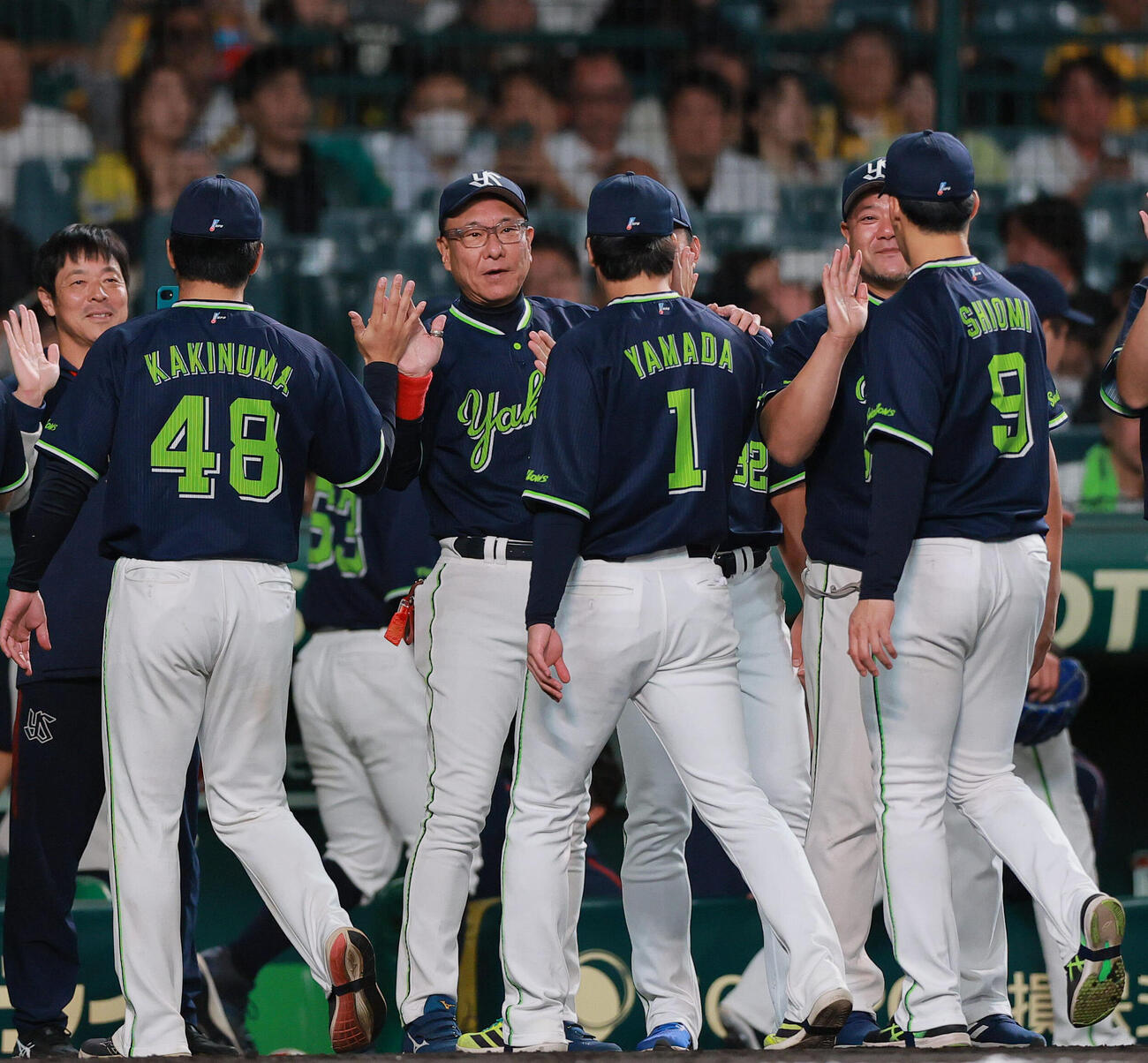 阪神対ヤクルト　阪神に勝利した池山隆寛監督はベンチ前でナインとタッチをかわす（撮影・上山淳一）