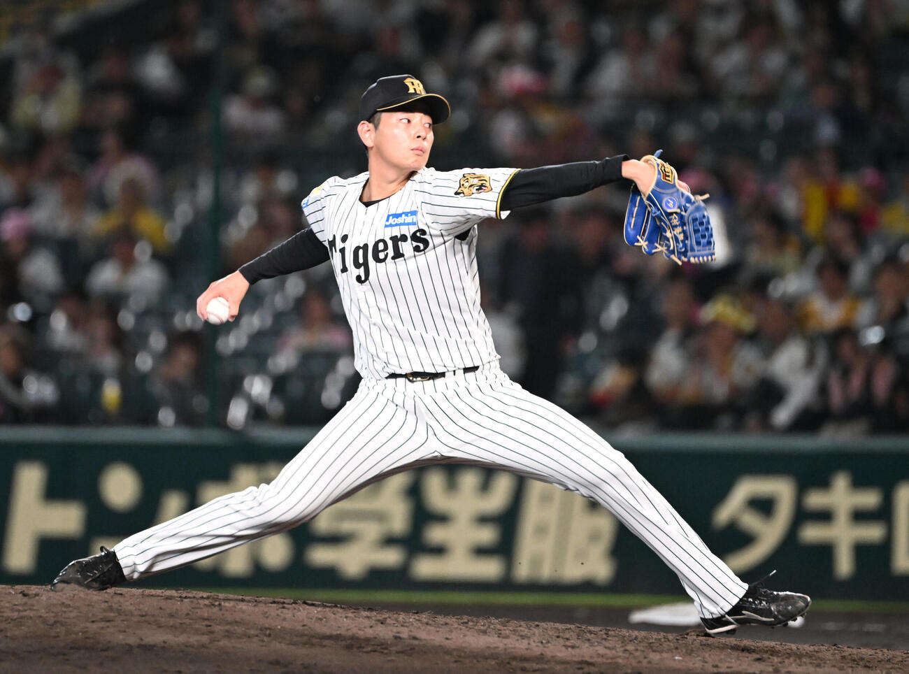 阪神下村海翔（2026年10月撮影）