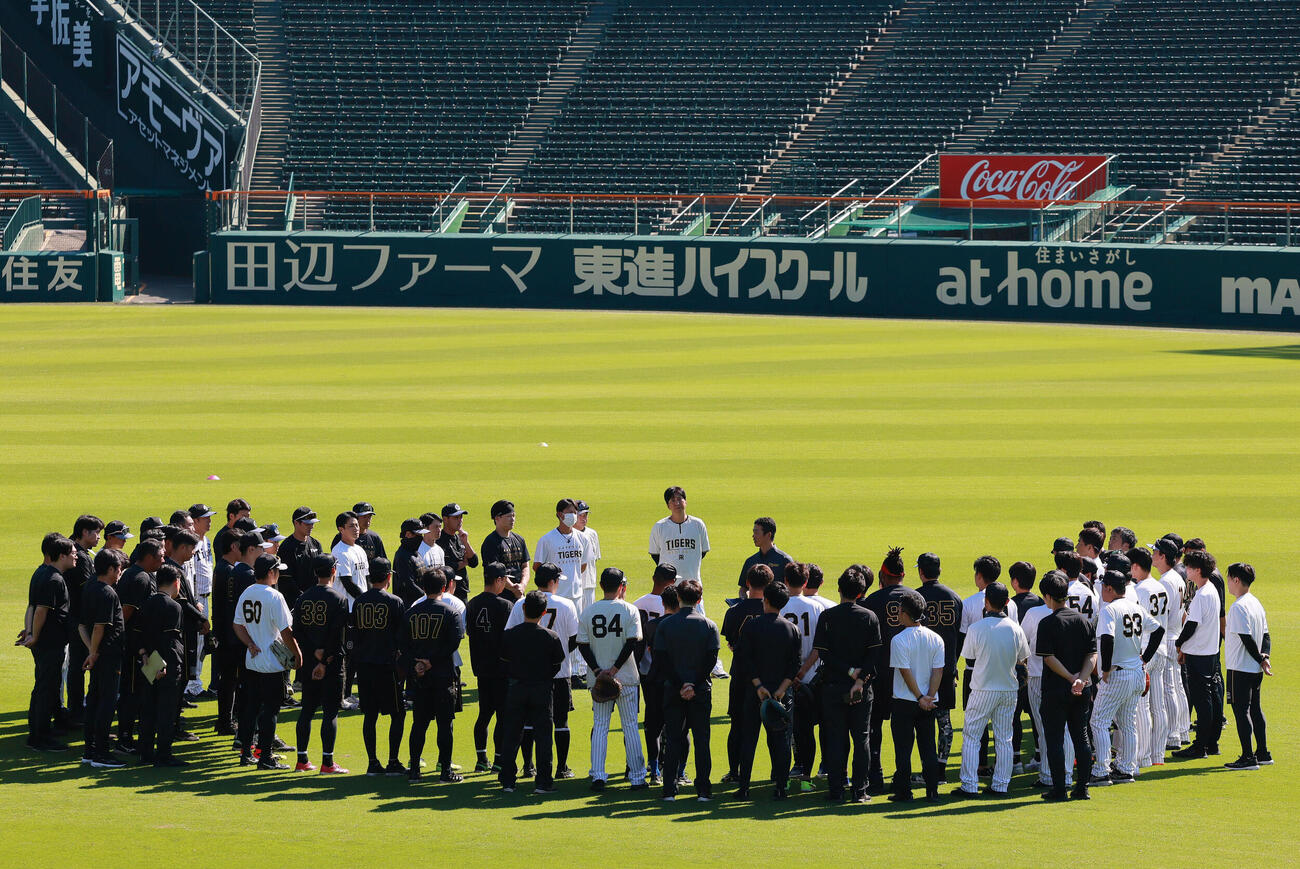 全体練習で円陣を組む阪神の選手たち（撮影・上山淳一）