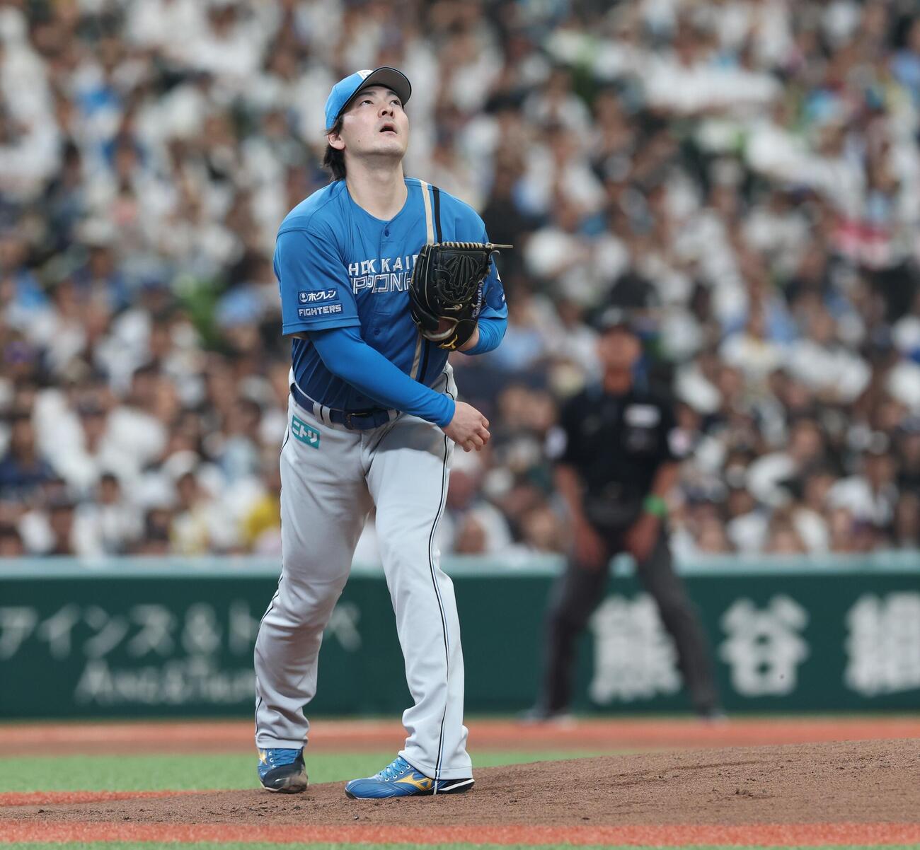 西武対日本ハム　1回裏西武1死、平沢大河に本塁打を浴びる有原航平（撮影・黒川智章）