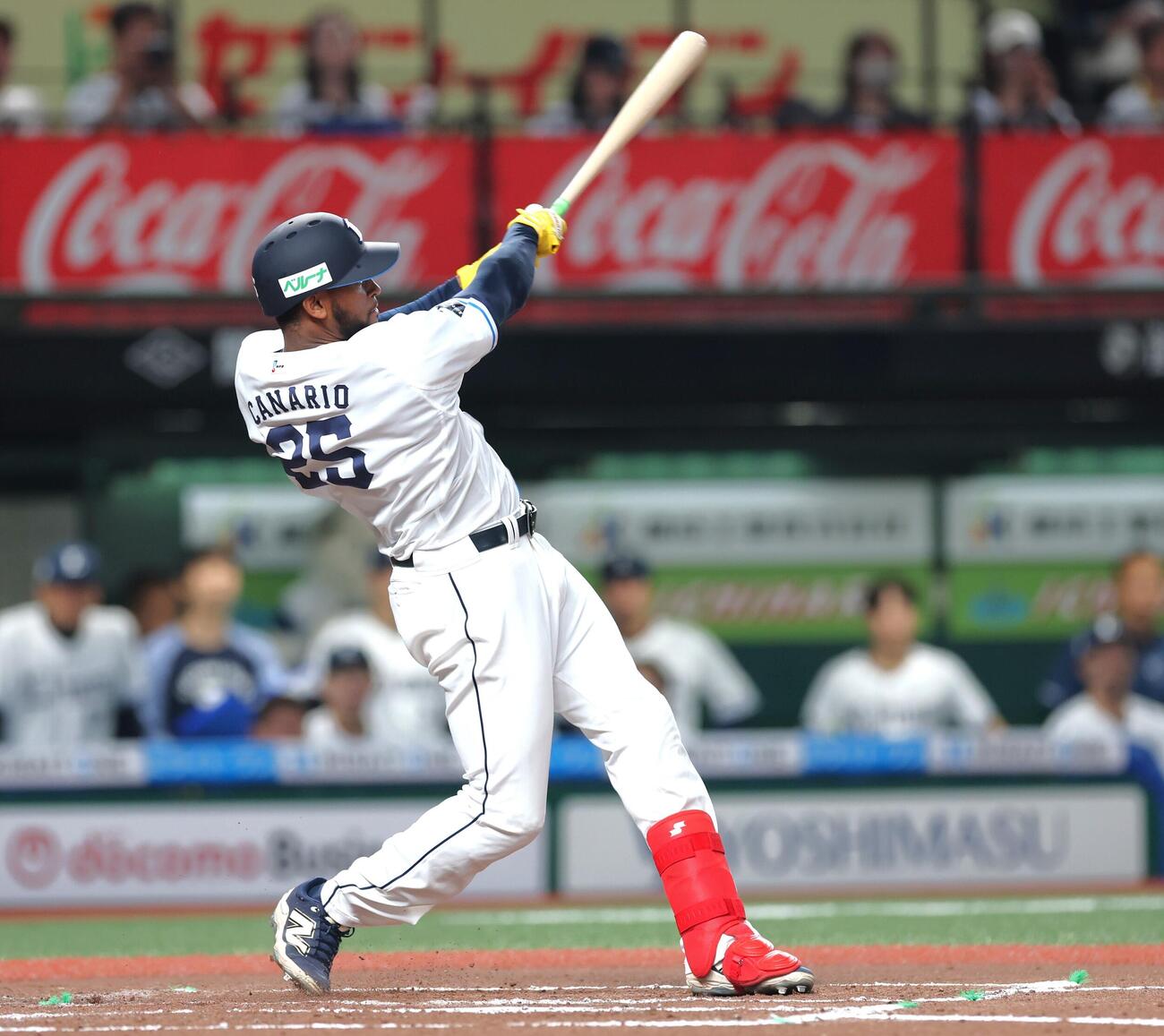 西武対日本ハム　10回裏西武1死、サヨナラ本塁打を放つカナリオ（撮影・黒川智章）