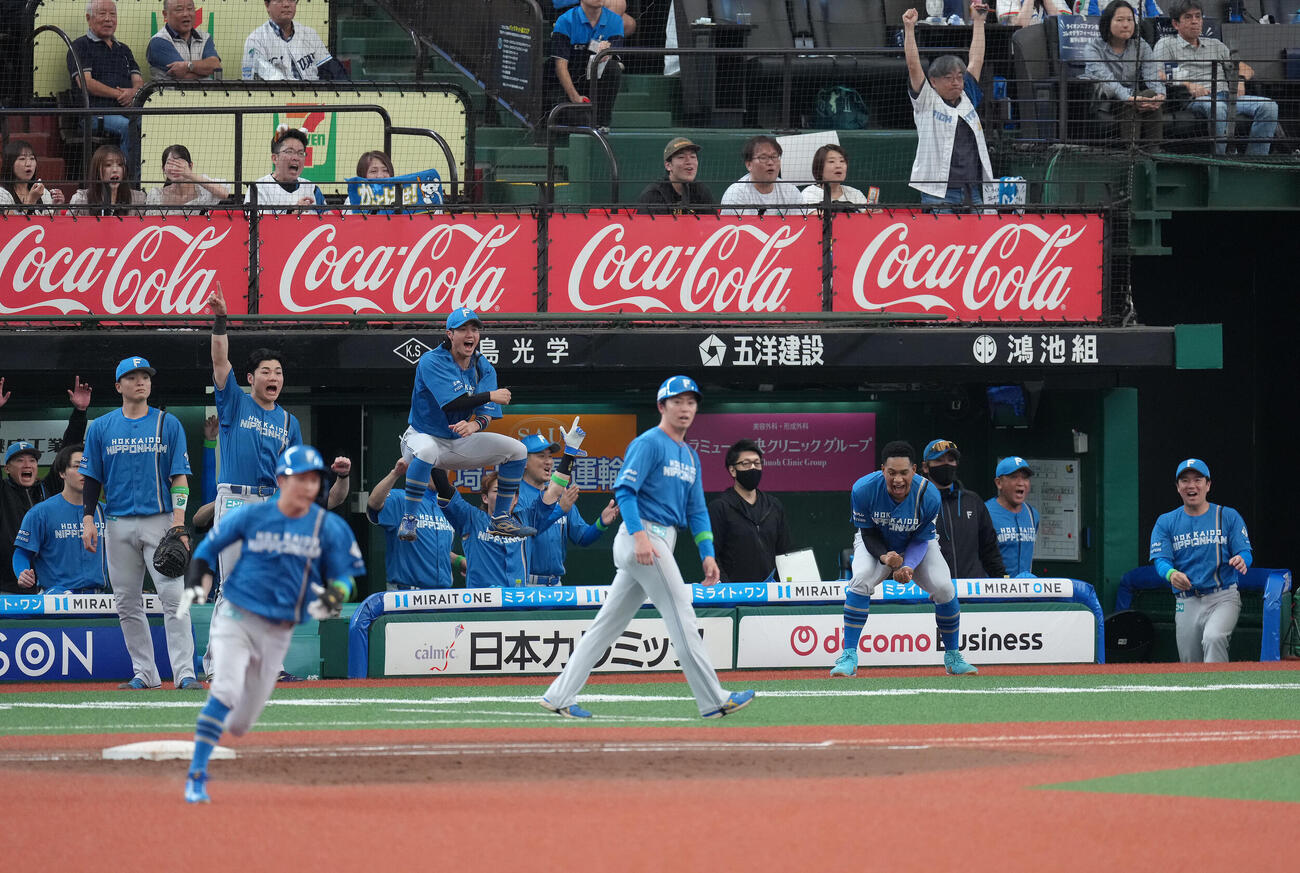 西武対日本ハム　4回表日本ハム2死二塁、奈良間大己の2点本塁打に大喜びするベンチ（撮影・足立雅史）