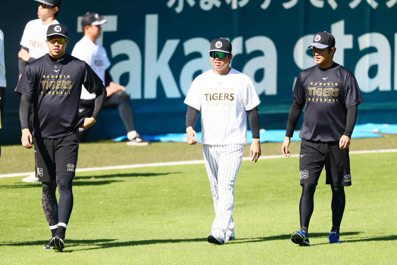 外野を歩く左から阪神才木浩人、村上頌樹、高橋遥人（撮影・加藤哉）