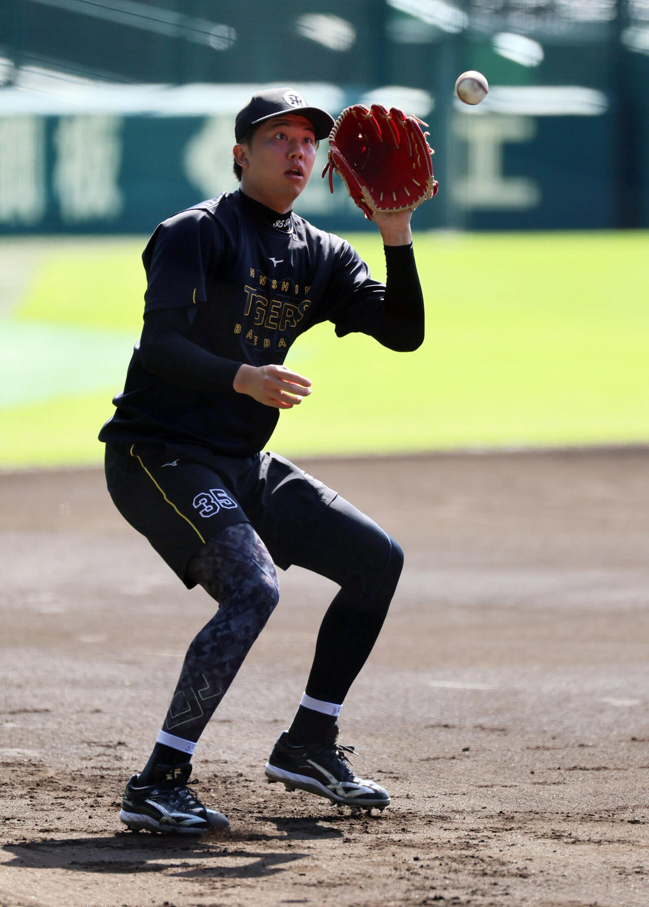 ノックを受ける阪神才木浩人（撮影・宮崎幸一）