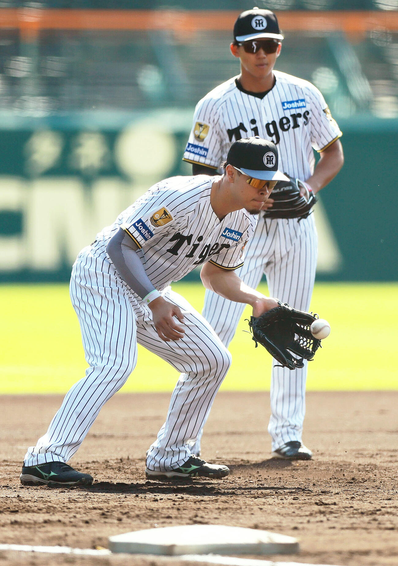 ノックを受ける阪神佐藤輝明（手前）と立石正広（撮影・上山淳一）
