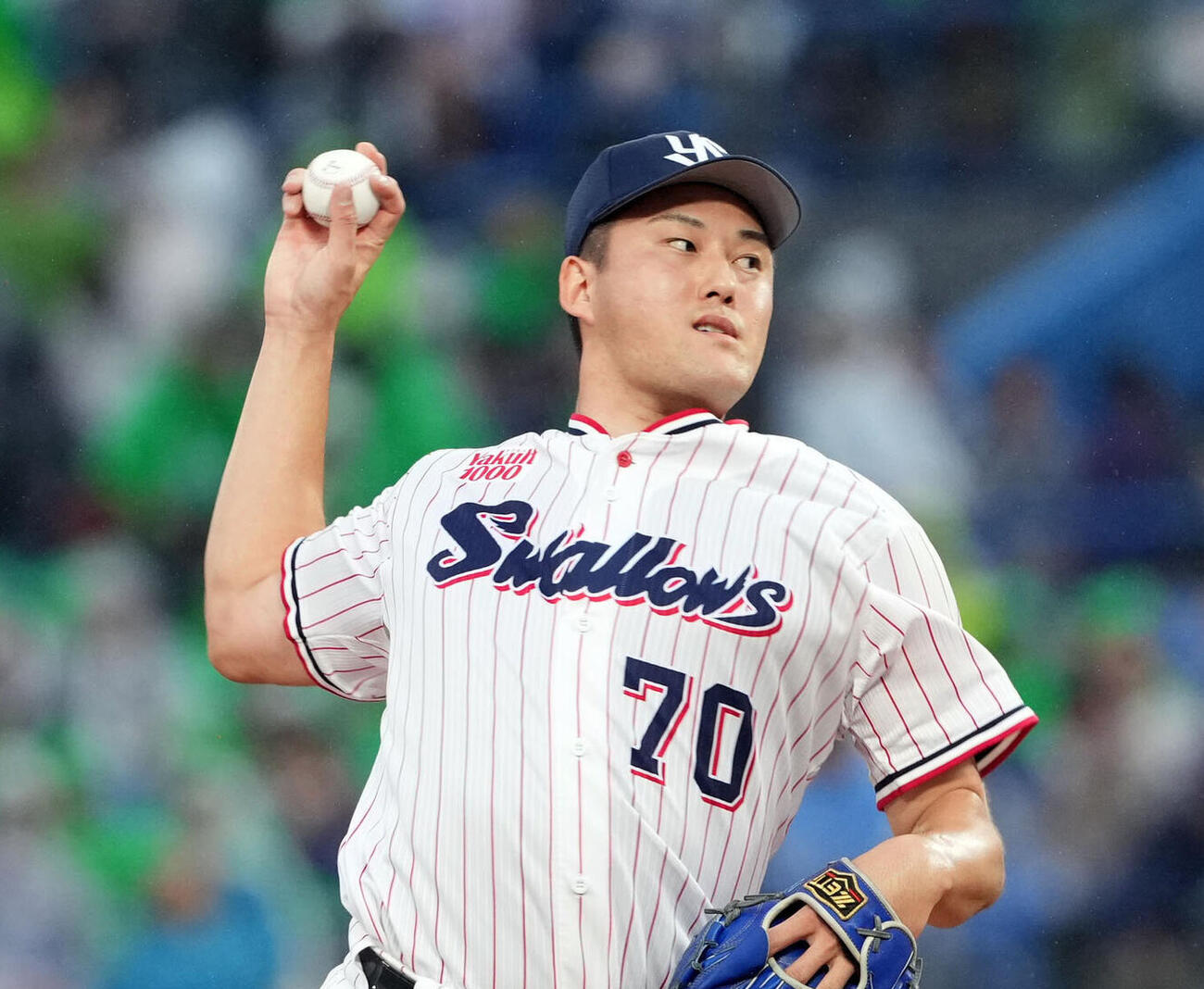ヤクルト広沢優（2026年撮影）