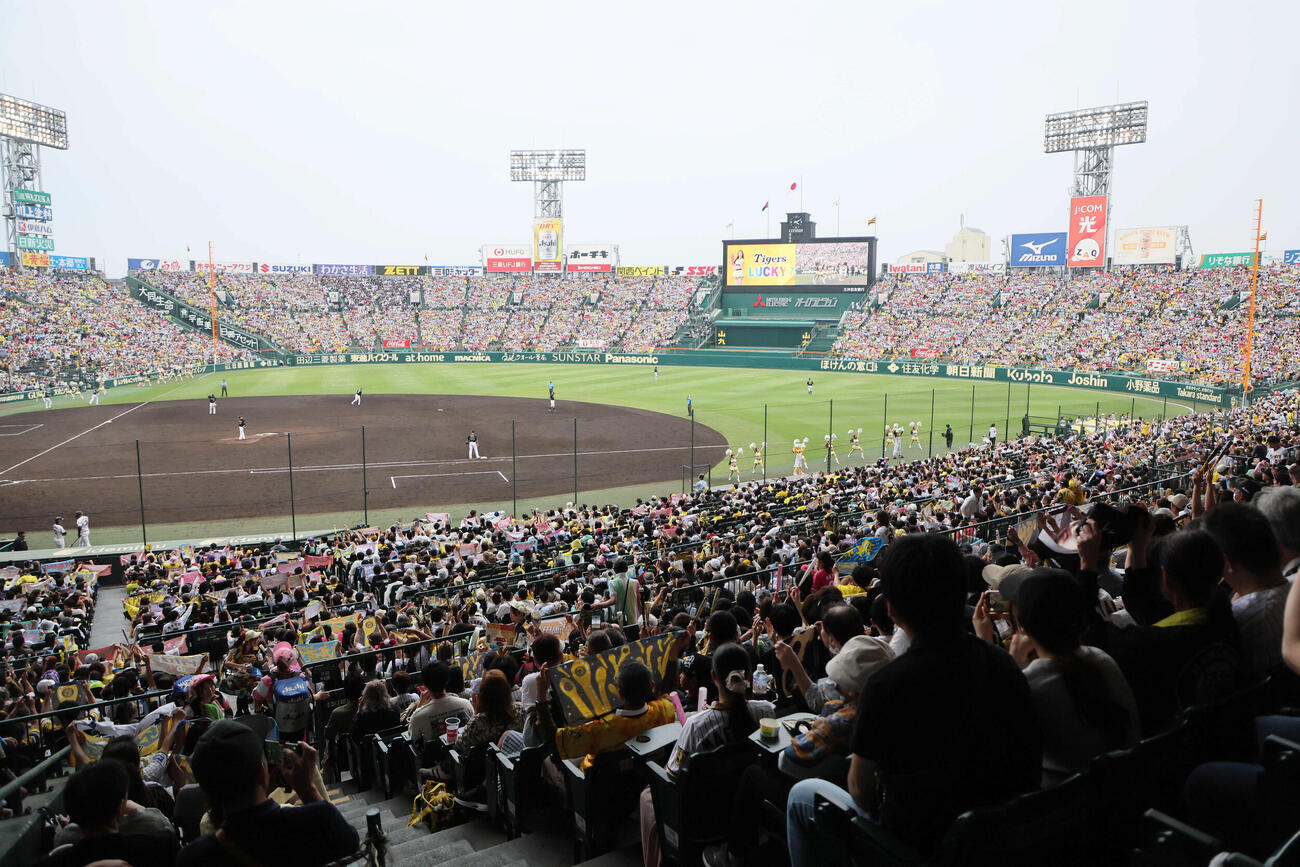 甲子園球場※写真はイメージ