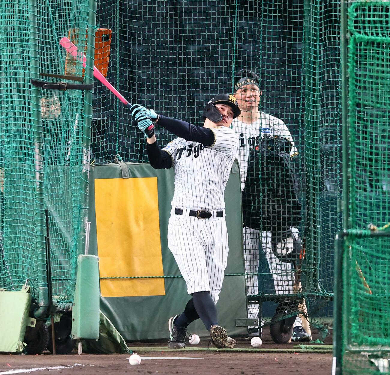 ケージ裏の森下翔太の前で打撃練習する阪神佐藤輝明（撮影・加藤哉）