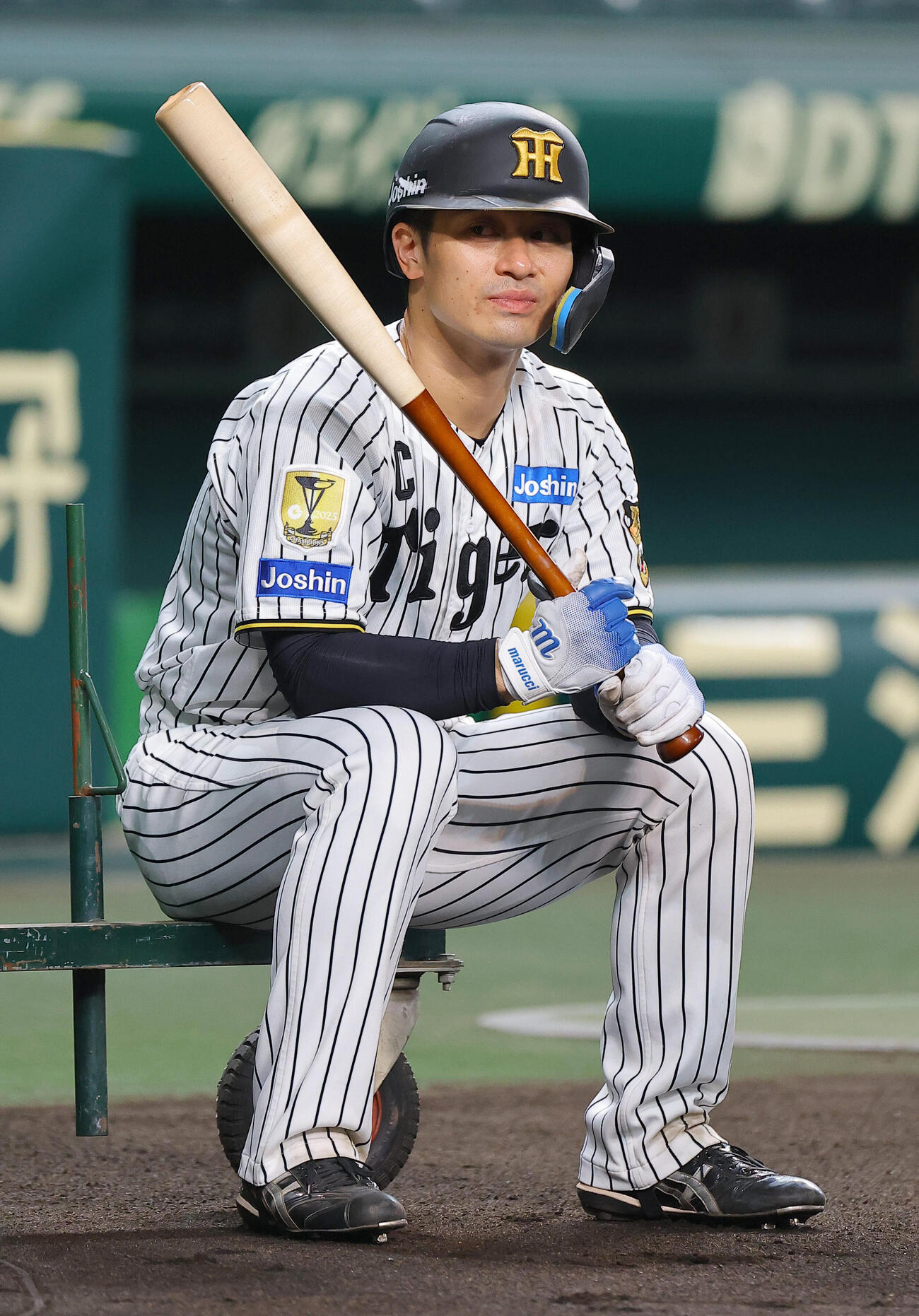 打撃練習の順番を待つ阪神坂本誠志郎（撮影・上田博志）