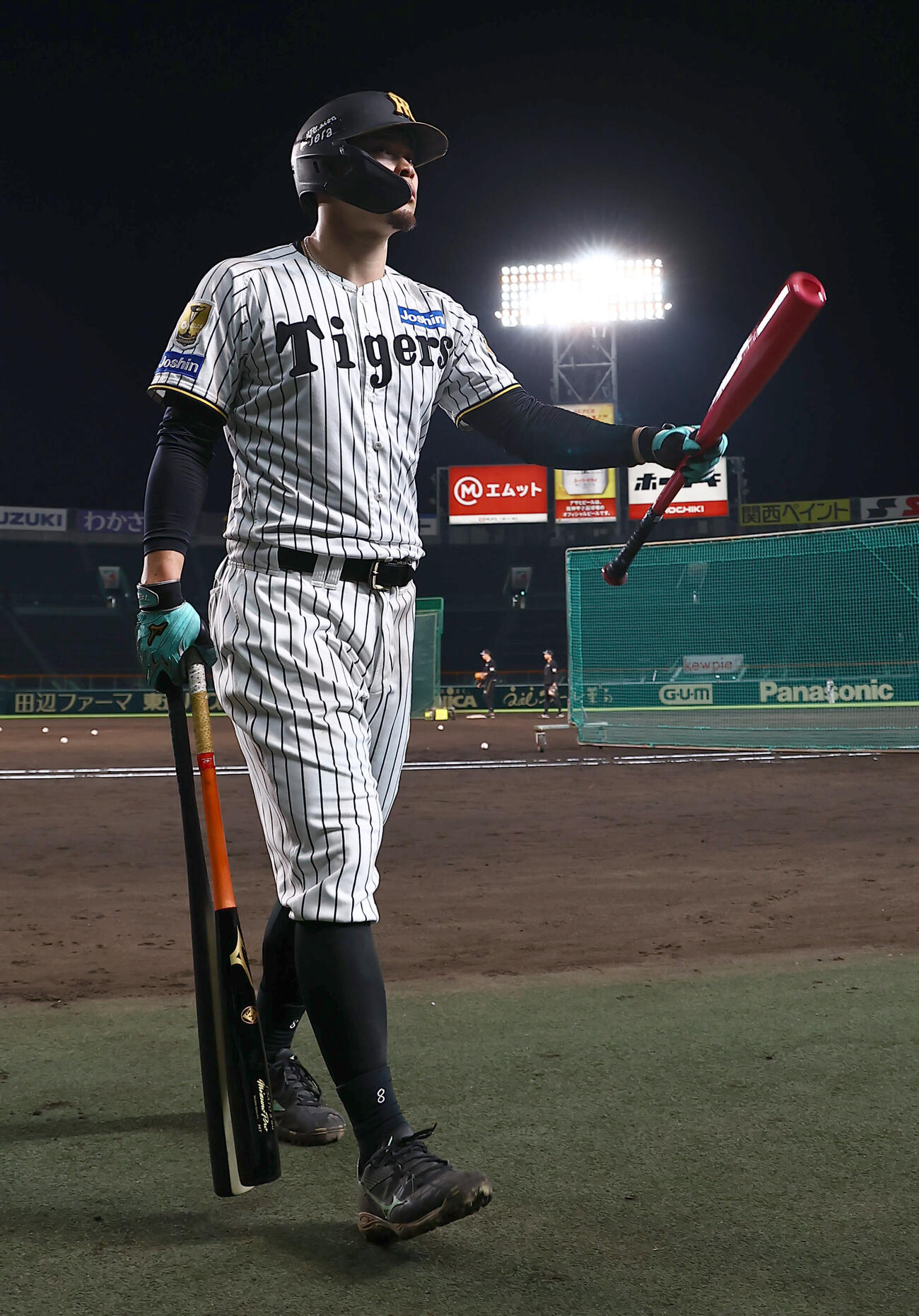 打撃練習を終えた佐藤輝明はベンチ引き揚げる（撮影・上田博志）