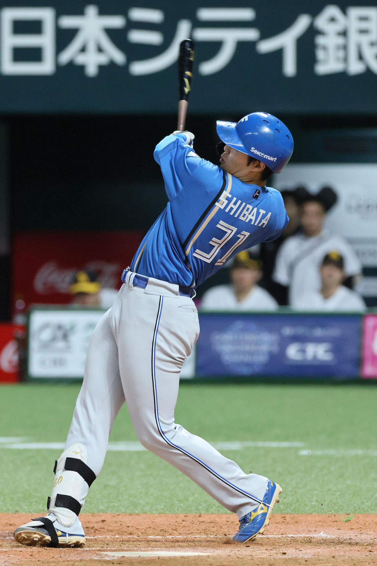 ソフトバンク対日本ハム　3回表日本ハム1死満塁、柴田獅子は勝ち越しの右犠飛を放つ（撮影・加藤孝規）