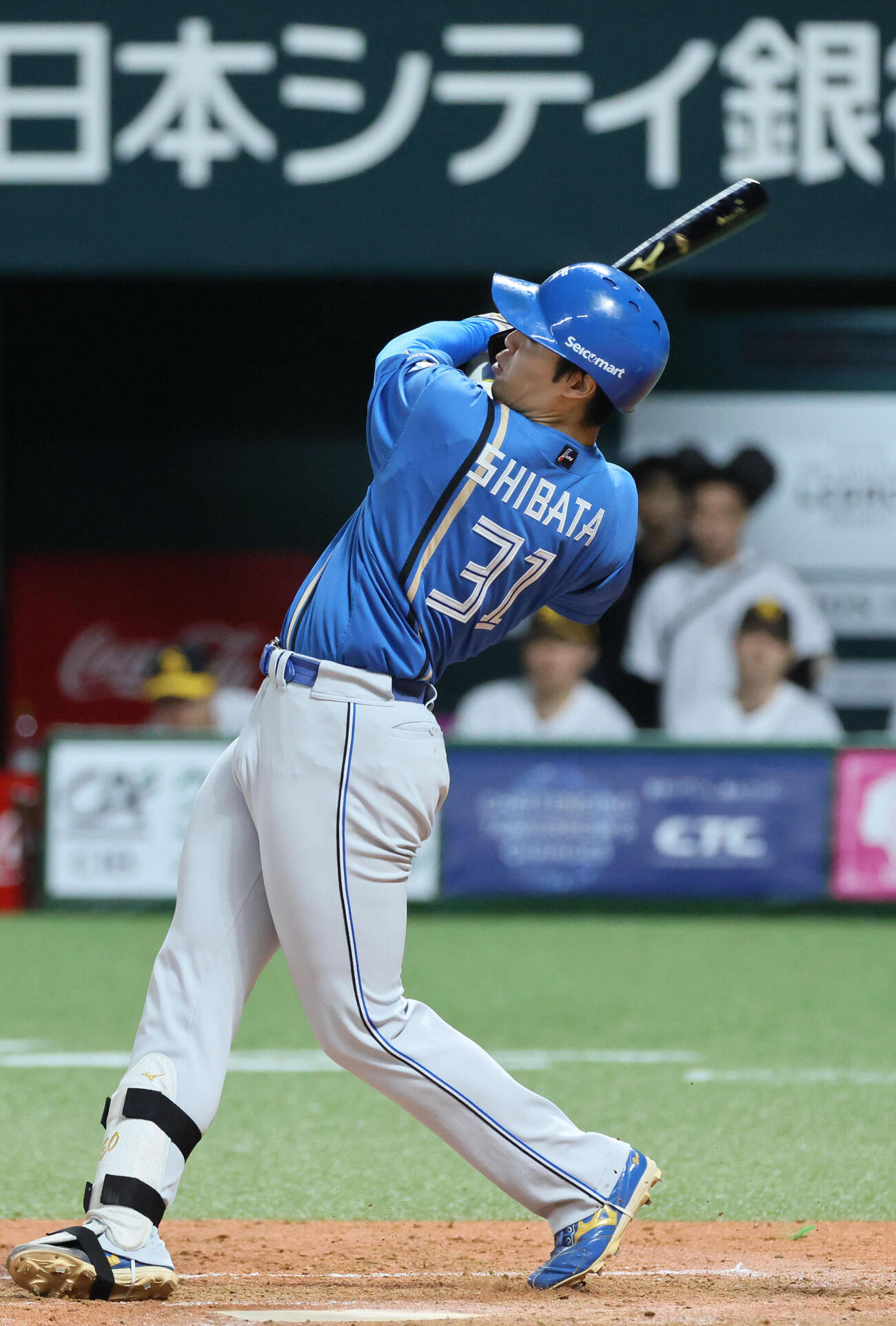 ソフトバンク対日本ハム　3回表日本ハム1死満塁、柴田獅子は勝ち越しの右犠飛を放つ（撮影・加藤孝規）