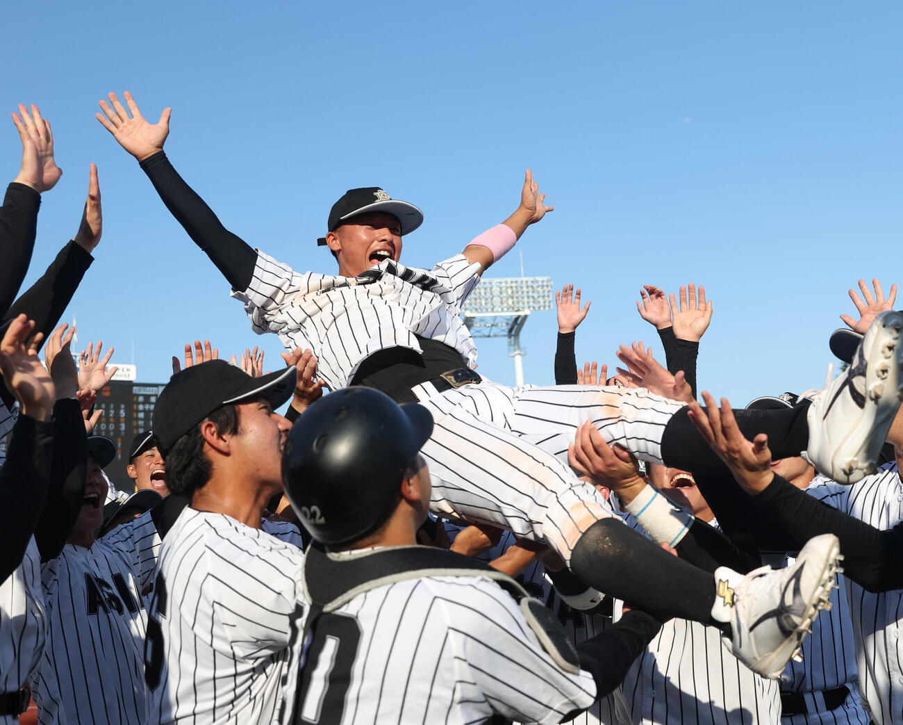 亜大対国学院大　優勝した亜大ナインは山里宝主将を胴上げする（撮影・柴田隆二）