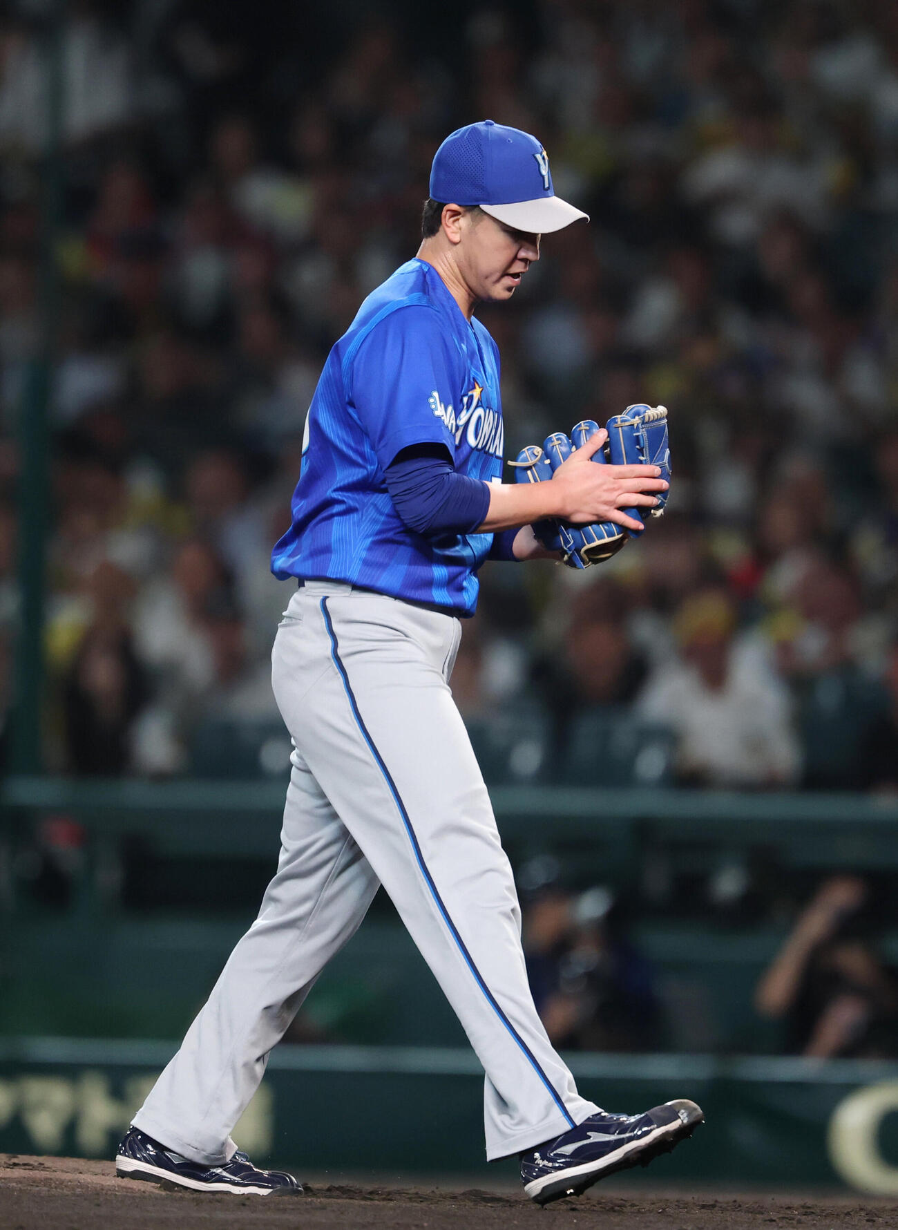 阪神対DeNA 2回裏阪神2死一、二塁、坂本誠志郎を三振に抑えグラブをたたく平良拳太郎（撮影・増田悦実）