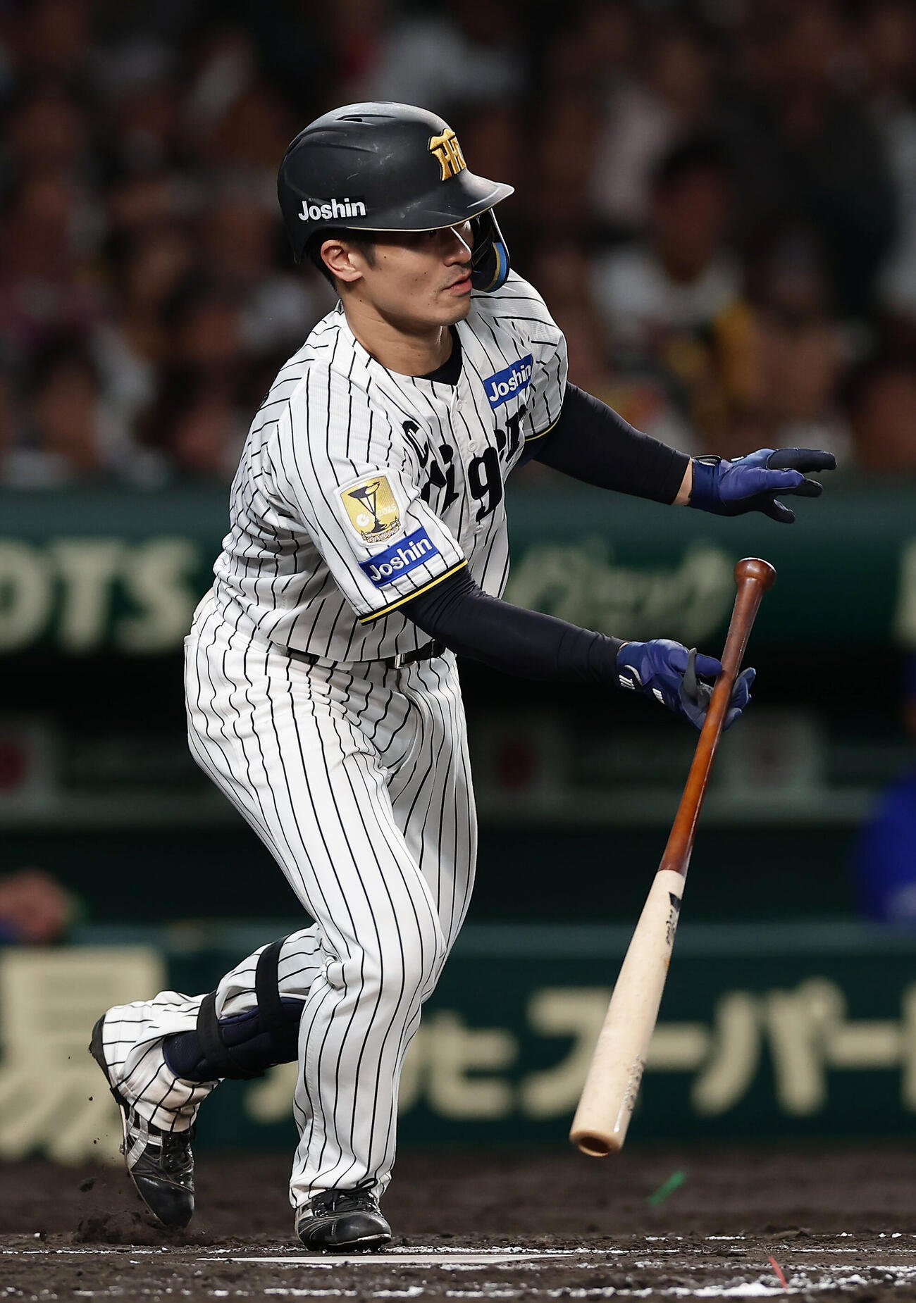 阪神対DeNA 7回裏阪神無死、中前打を放つ坂本誠志郎（撮影・前田充）