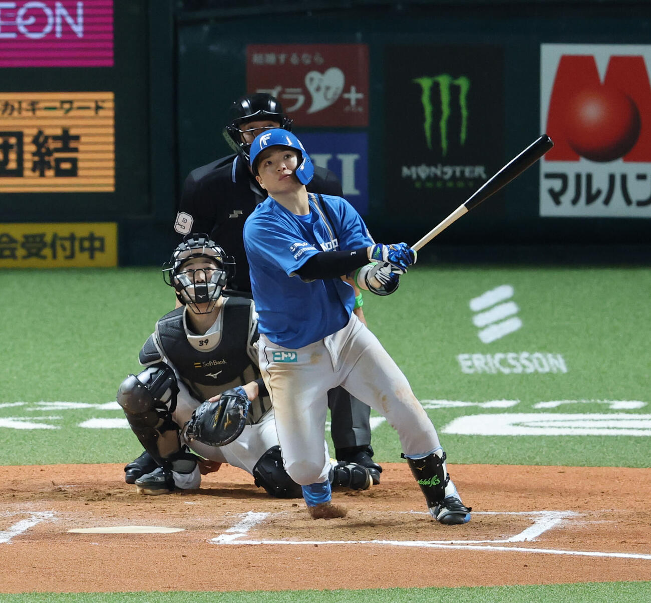 ソフトバンク対日本ハム　7回表日本ハム1死、郡司裕也は左越え本塁打を放つ（撮影・梅根麻紀）