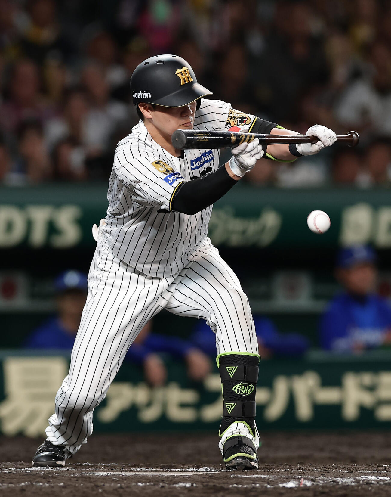 阪神対DeNA 9回阪神無死一、二塁、犠打を決める伏見寅威（撮影・前田充）