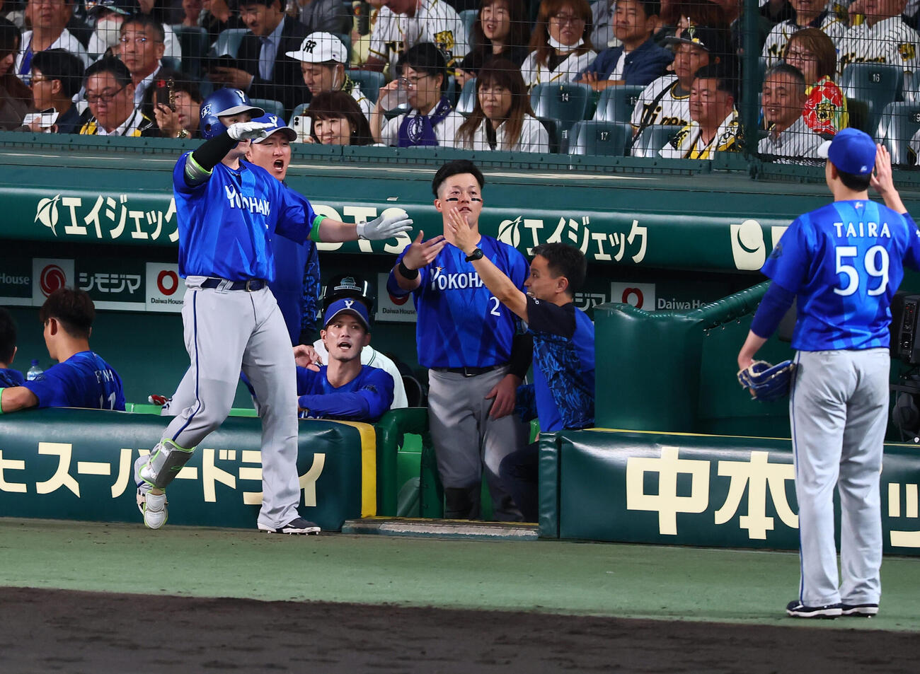 阪神対DeNA 6回表DeNA2死、佐野恵太はソロ本塁打を放ちベンチ前でデスターシャポーズを決める（撮影・加藤哉）