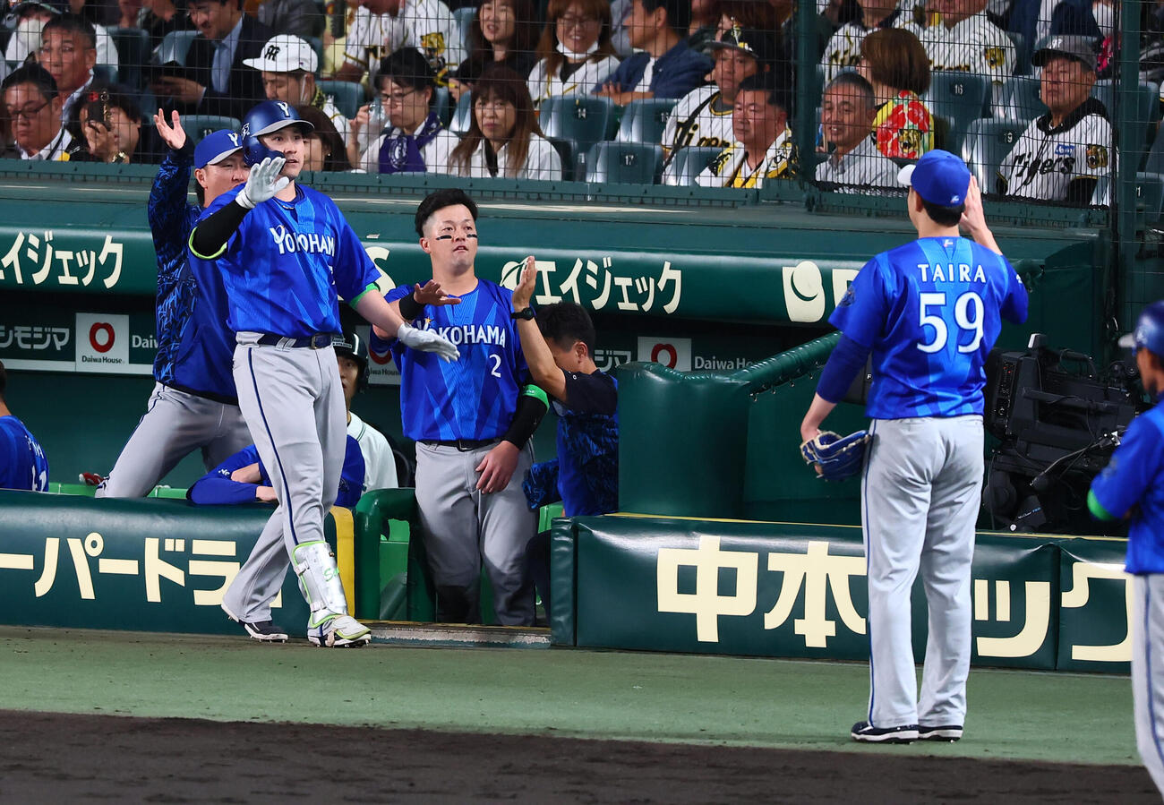 阪神対DeNA 6回表DeNA2死、佐野恵太はソロ本塁打を放ちベンチ前でデスターシャポーズを決める（撮影・加藤哉）