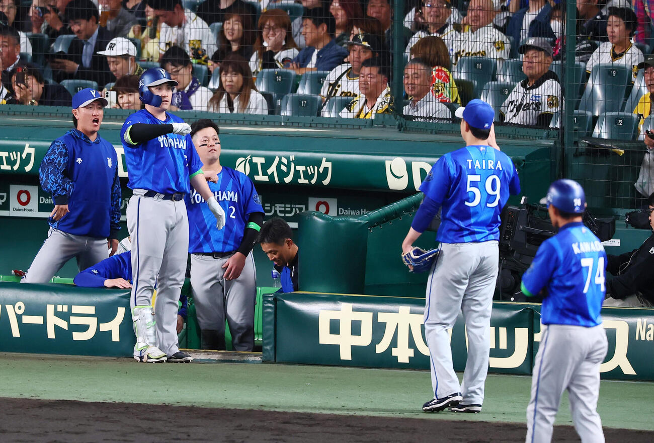 阪神対DeNA 6回表DeNA2死、佐野恵太はソロ本塁打を放ちベンチ前でデスターシャポーズを決める（撮影・加藤哉）