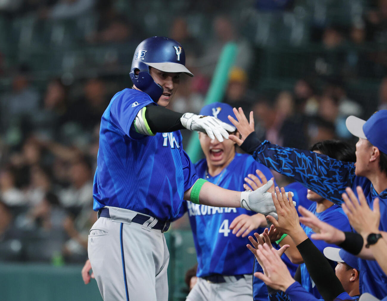 阪神対DeNA 6回表DeNA2死、本塁打放ちナインとタッチを交わす佐野恵太（撮影・増田悦実）