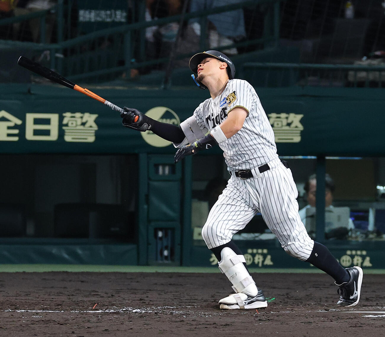 阪神対DeNA 4回裏阪神無死一塁、佐藤輝明は遊飛に倒れる（撮影・上田博志）