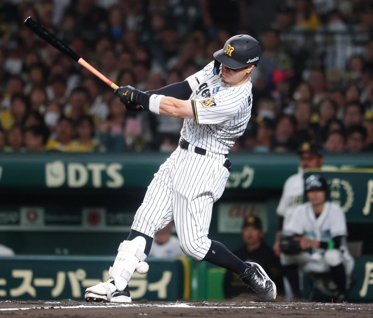 阪神対DeNA 8回裏阪神無死、自打球が当たる佐藤輝明（撮影・増田悦実）