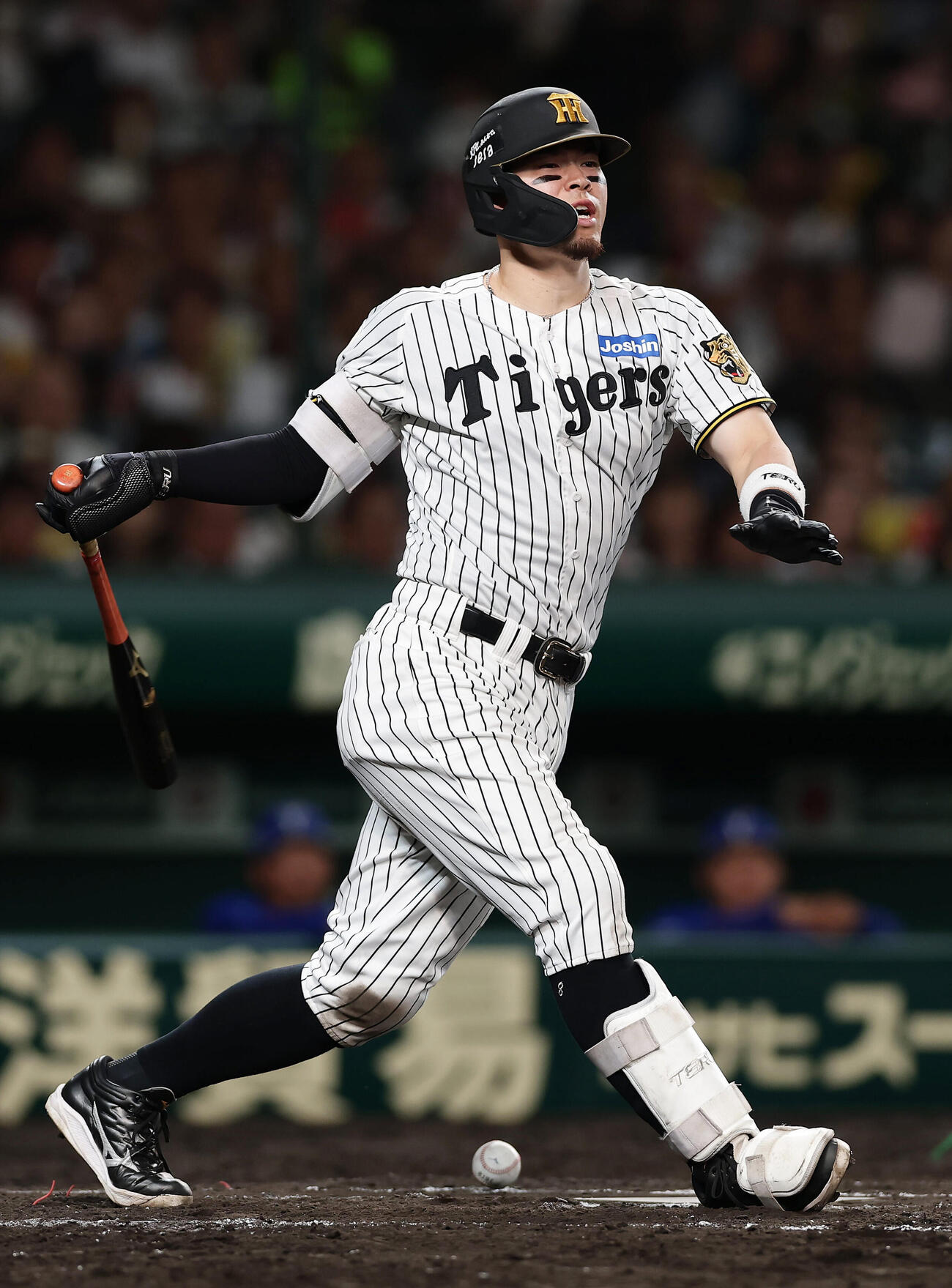 阪神対DeNA 8回裏阪神無死、右足に自打球を当てた佐藤輝明（撮影・前田充）