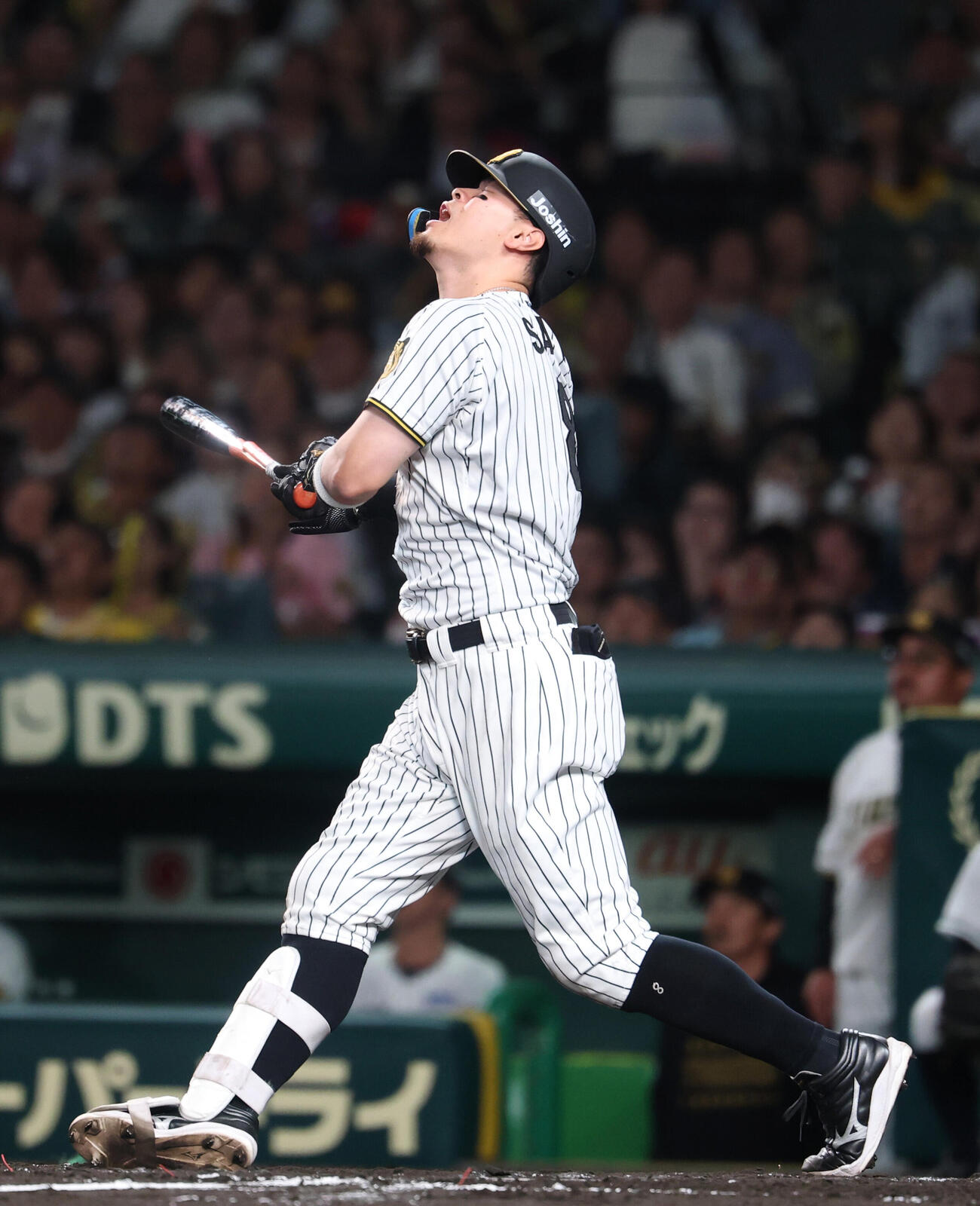 阪神対DeNA 4回裏阪神無死一塁、遊飛に倒れる佐藤輝明（撮影・増田悦実）
