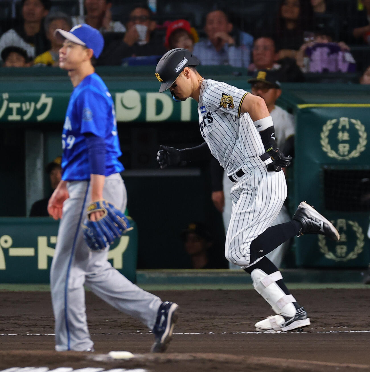 阪神対DeNA 6回裏阪神1死、佐藤輝明は二ゴロに倒れる。投手は平良拳太郎（撮影・上田博志）