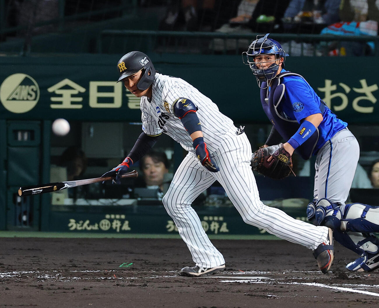 阪神対DeNA 2回裏阪神1死、大山悠輔は安打を放つ（撮影・上田博志）