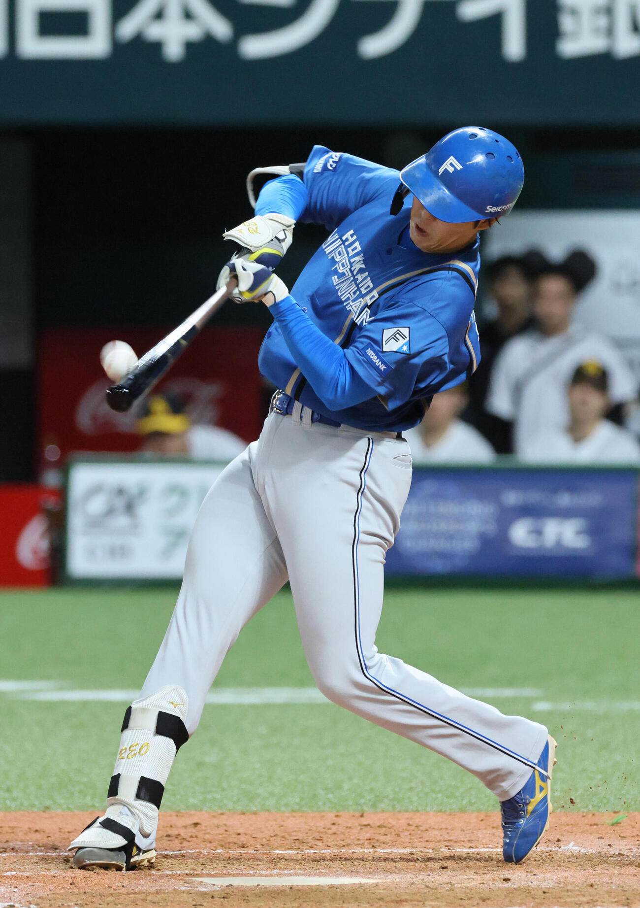 ソフトバンク対日本ハム　3回表日本ハム1死満塁、柴田獅子は勝ち越しの右犠飛を放つ（撮影・加藤孝規）