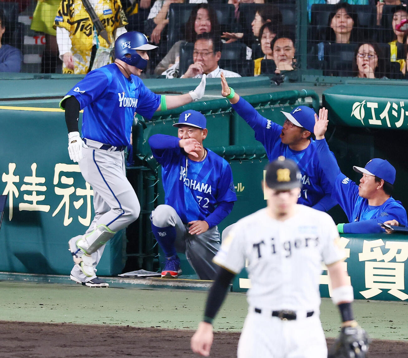阪神対DeNA 6回表DeNA2死、佐野恵太はソロ本塁打を放ちベンチの相川亮二監督（右）とタッチする（撮影・加藤哉）